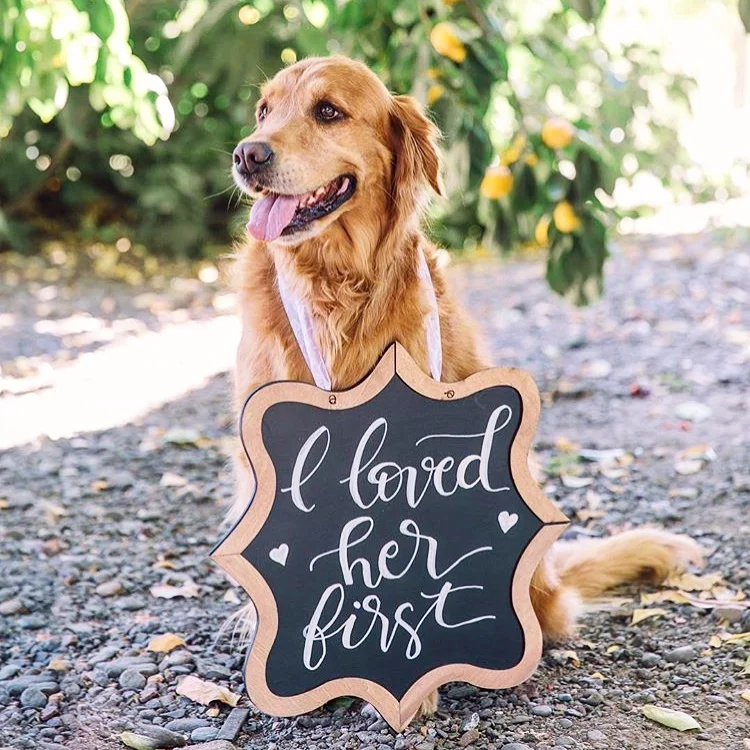 HoneyteaCalligraphy_EVENTSIGN_DOG_CHALKBOARDSIGN_schillingswedding.JPG