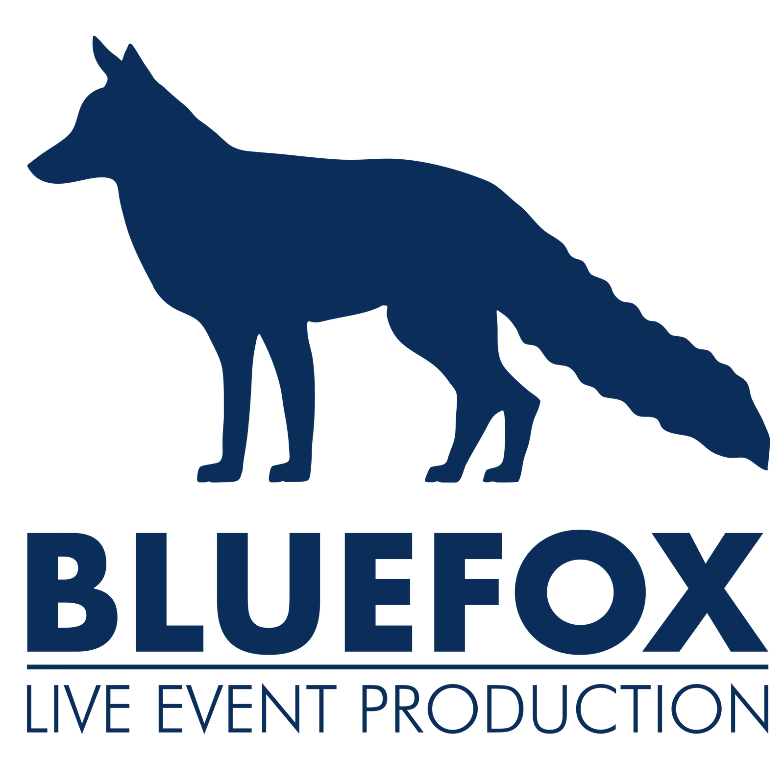 Bluefox Production, Live Event Audio Visual