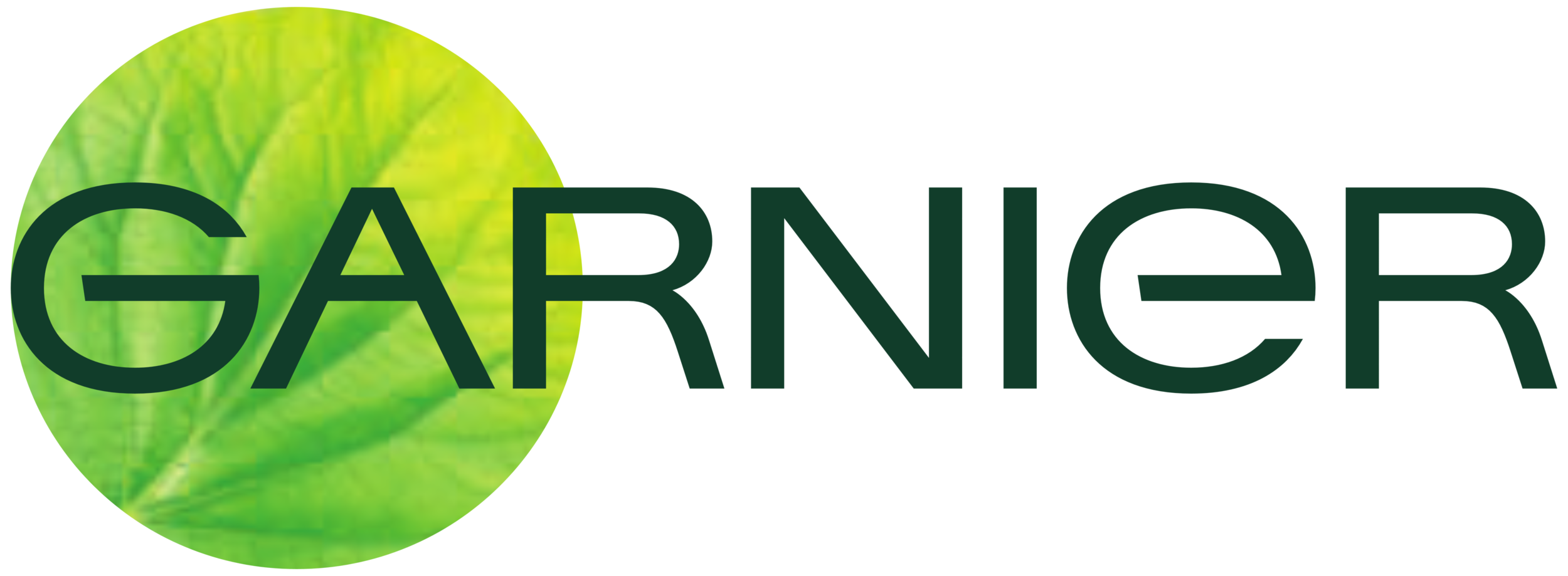 Garnier_logo.png