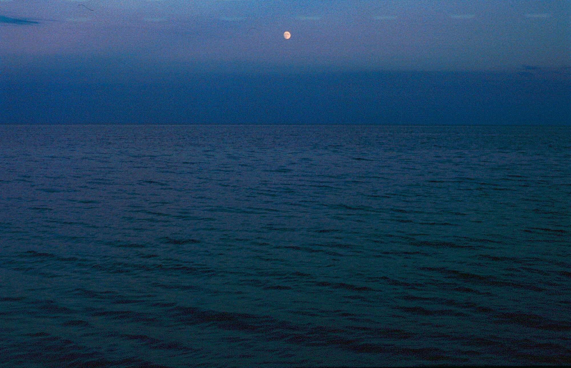 A view of the ocean at dusk with dark blue waters, a cloudy sky, and a full moon visible above the horizon.