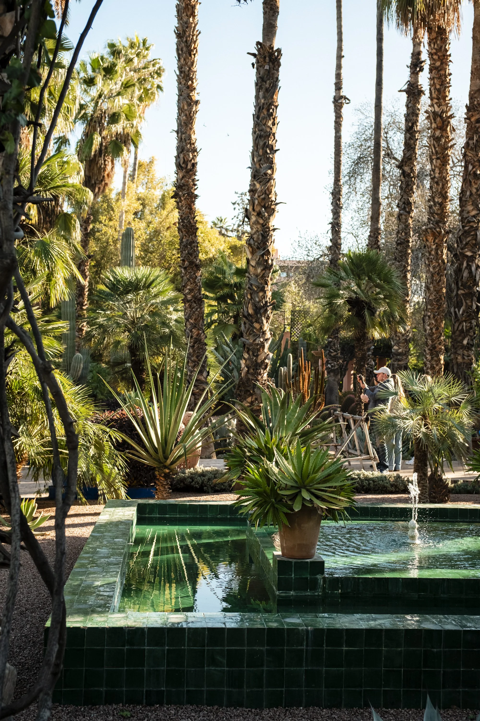 Join me on a walk around Jardin Majorelle in Marrakech