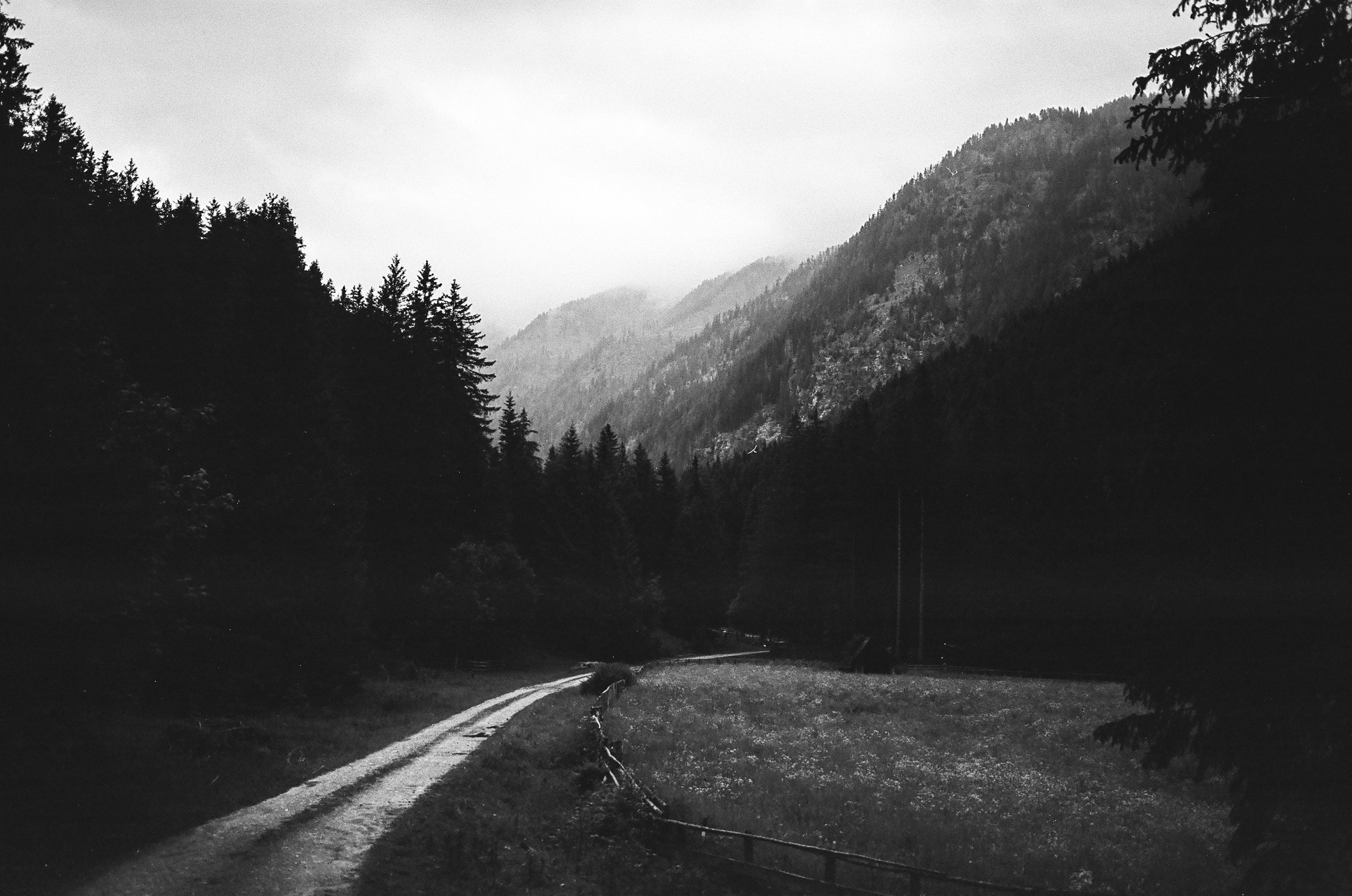 Film Ferrania Alps