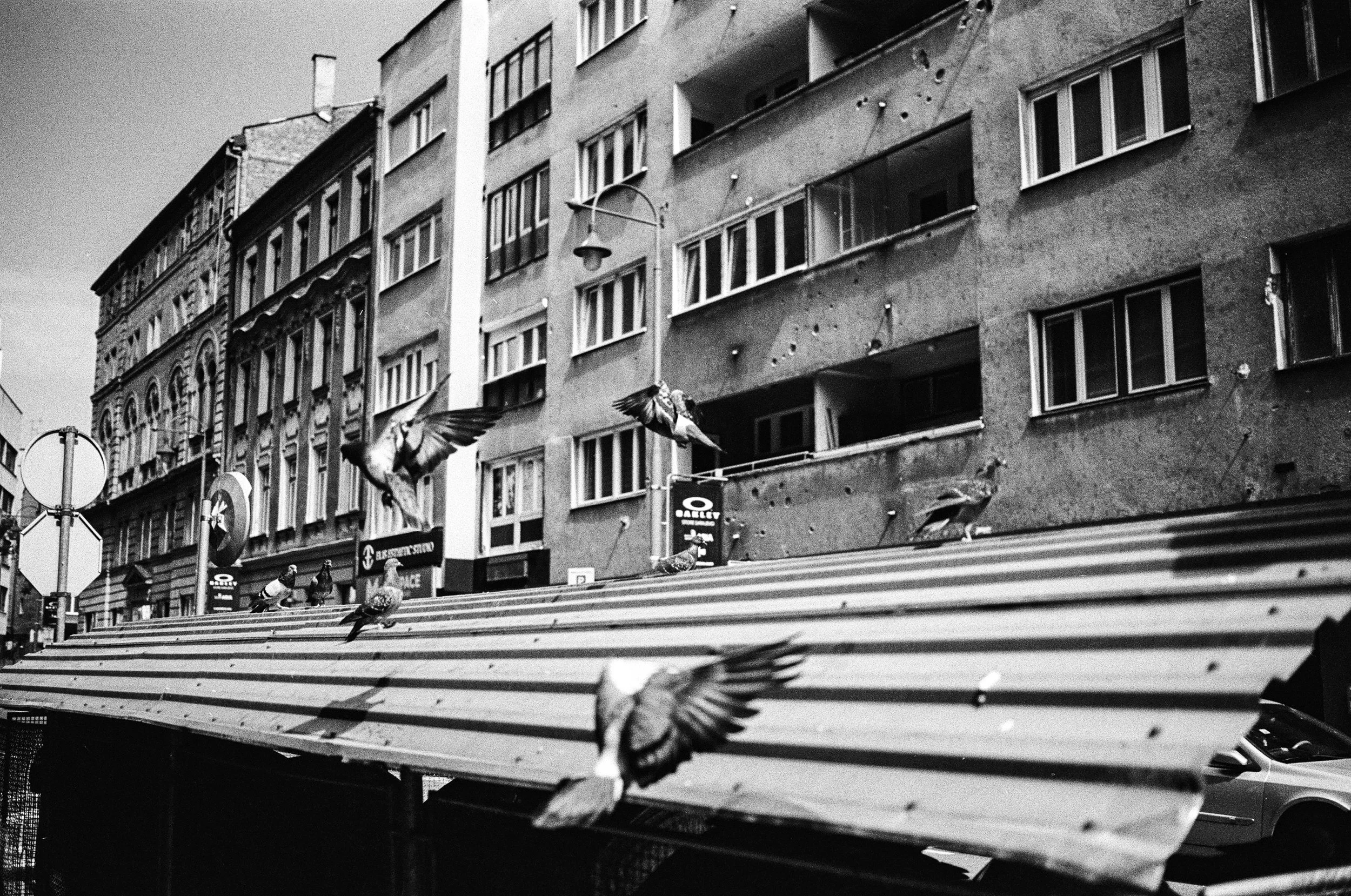 Sarajevo Flight