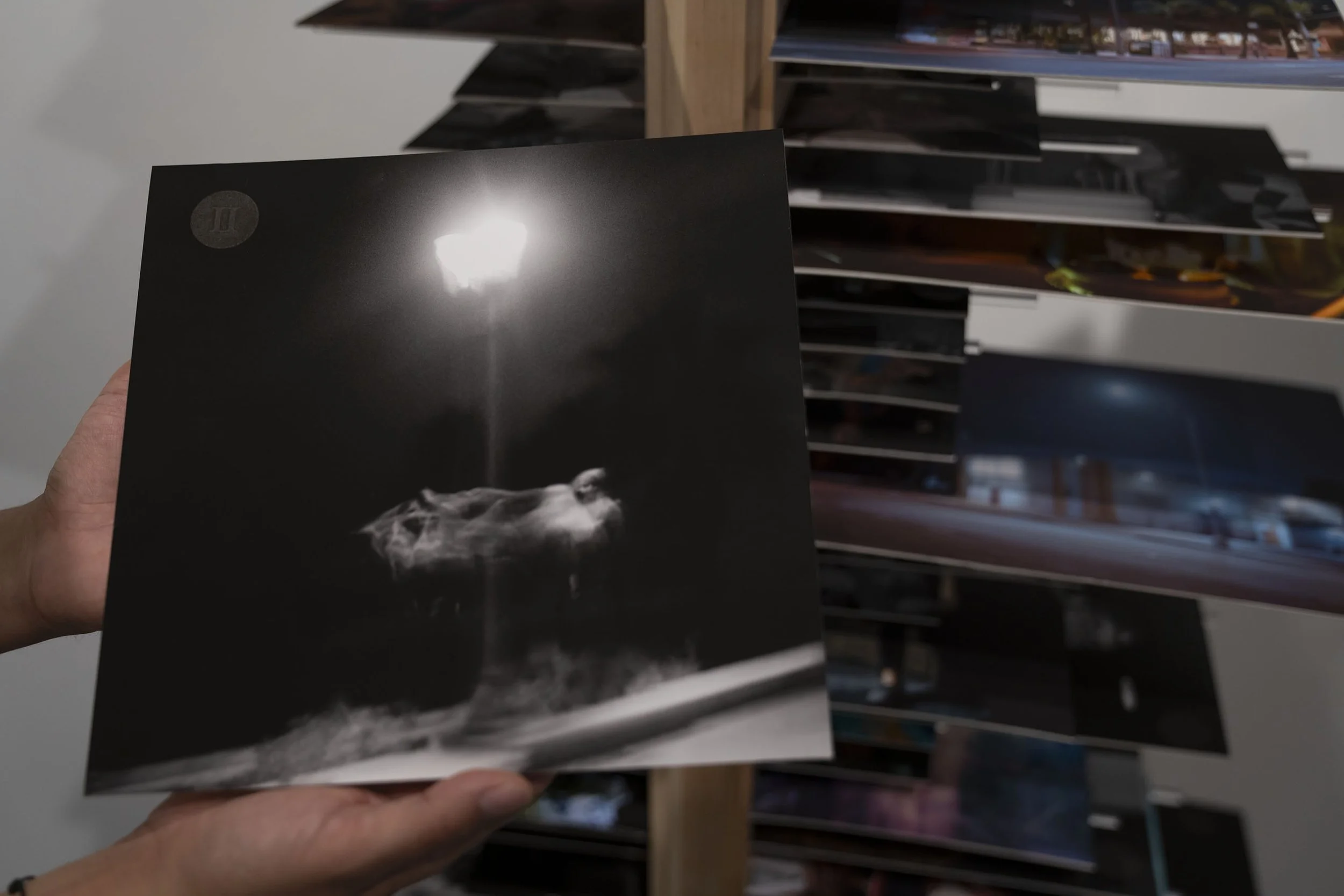 In Plain Sight, 2026 (dimensions: 67"h x 8"w x 5"d)
Materials: wood, 100 embossed photographs, 200 acrylic rods, text, recovery.
