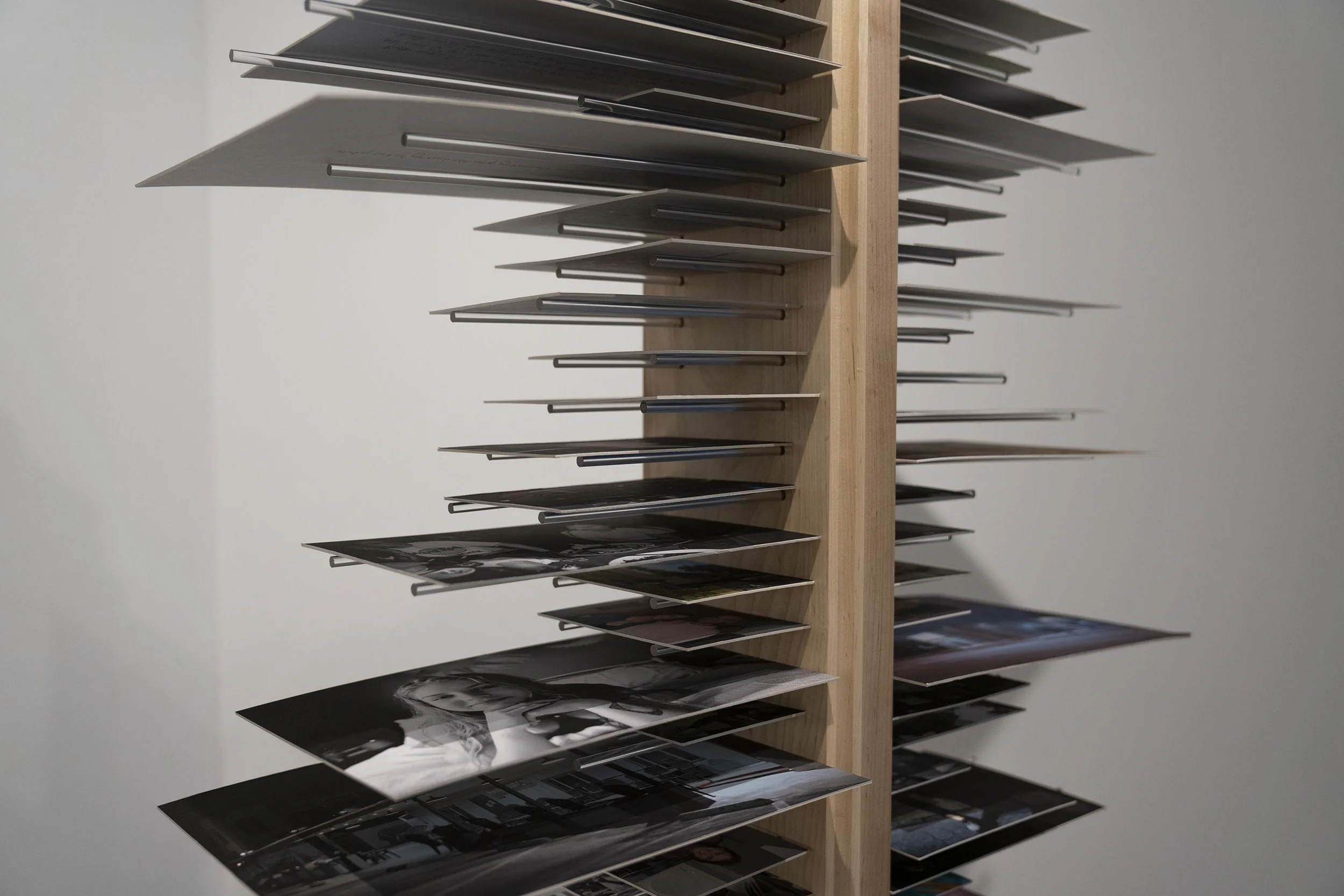 In Plain Sight, 2026 (dimensions: 67"h x 8"w x 5"d)
Materials: wood, 100 embossed photographs, 200 acrylic rods, text, recovery.