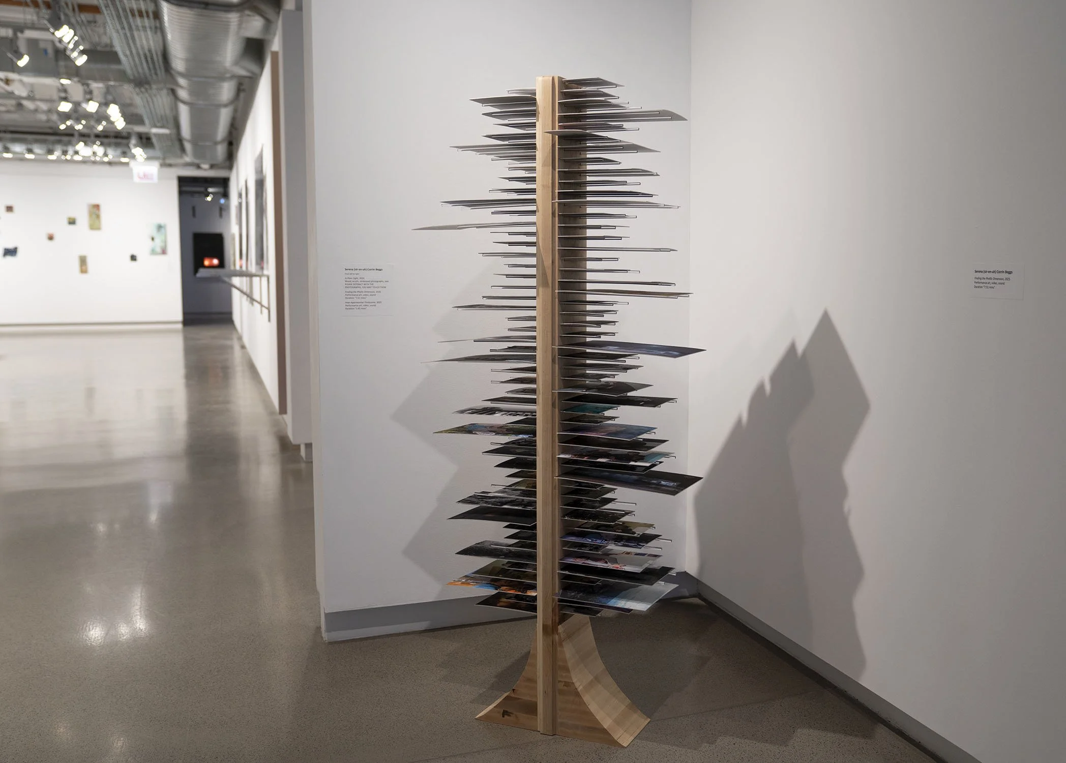 In Plain Sight, 2026 (dimensions: 67"h x 8"w x 5"d)
Materials: wood, 100 embossed photographs, 200 acrylic rods, text, recovery.