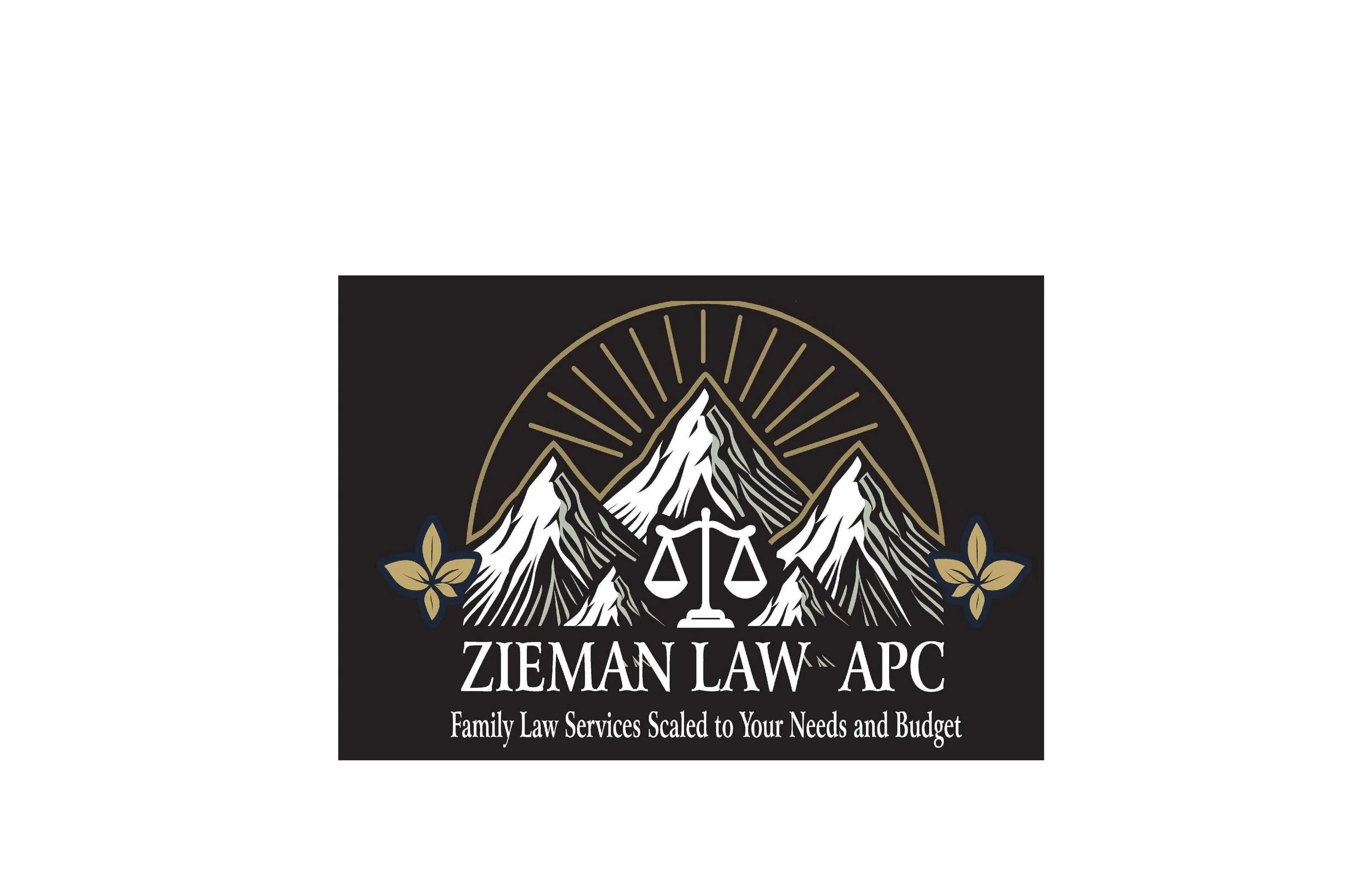 (for setmorebanner) Zieman Law for Zoom .jpg