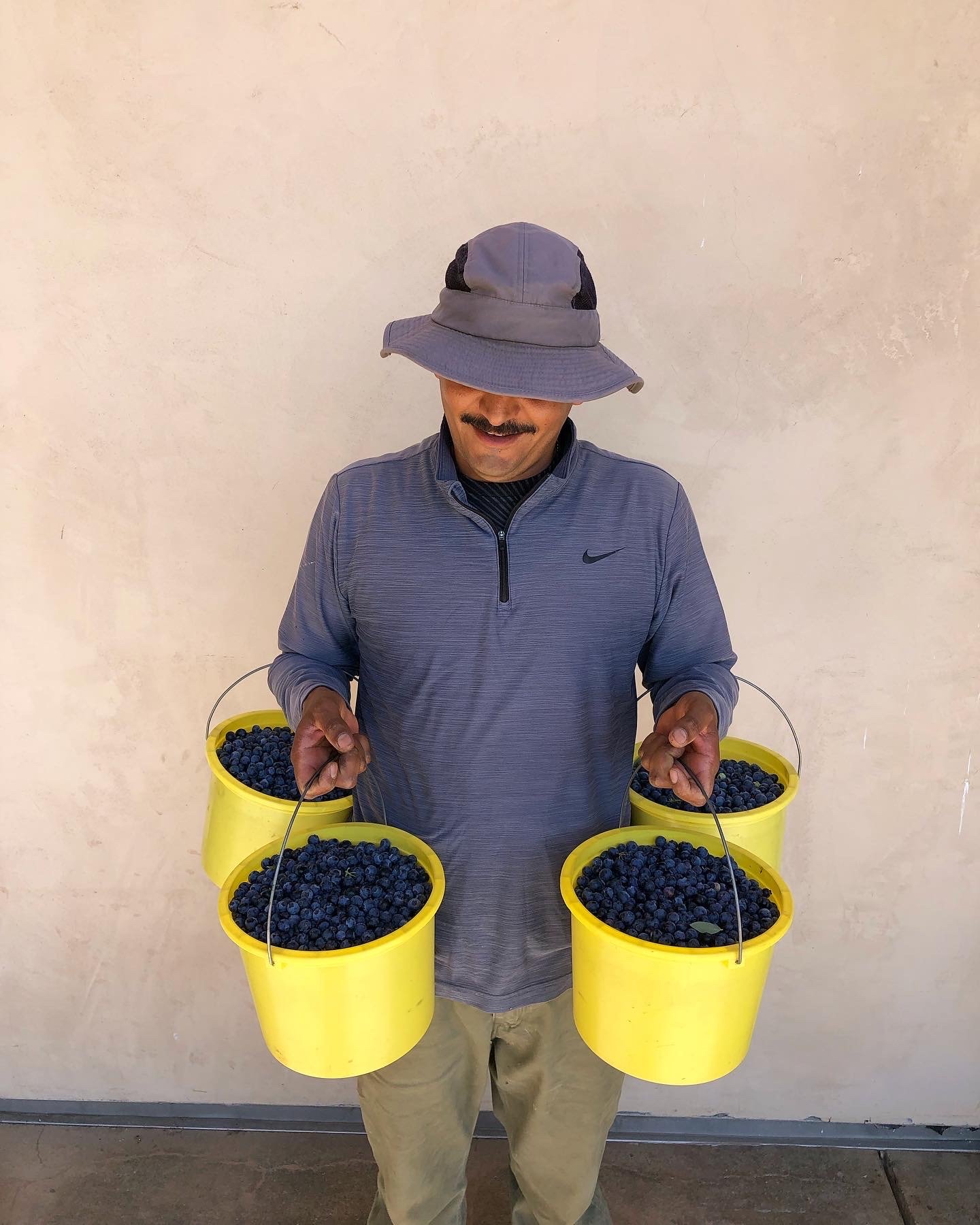 edgar and blueberries.JPG