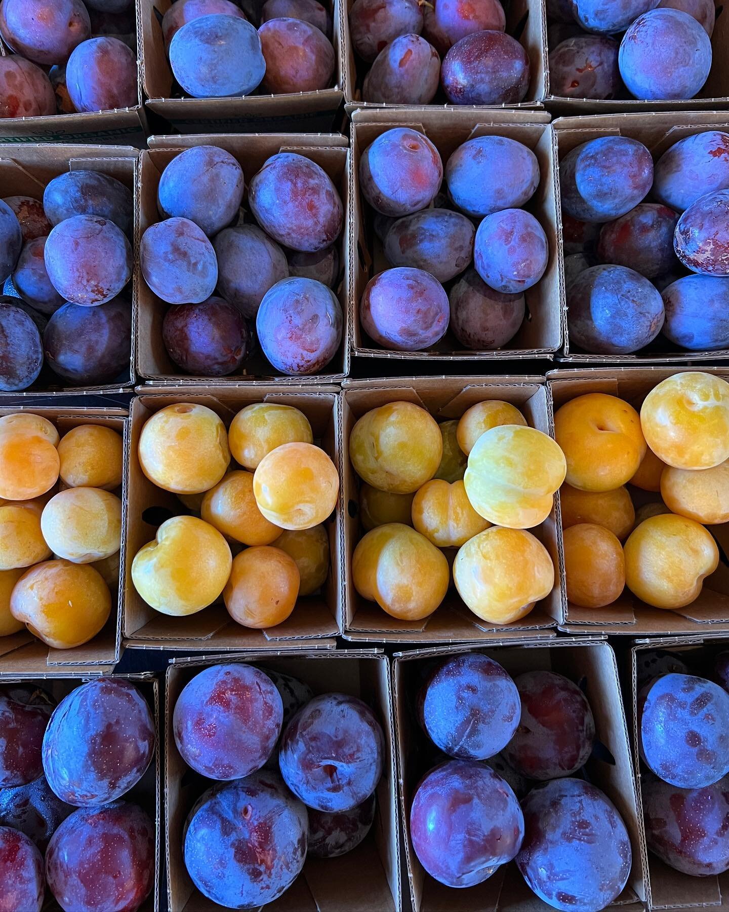 Pluots, plums, prunes! Come down to the farm stand and stock up on fruit, vegetables, flowers, and olive oil for the week. 🍎 💐 🥕