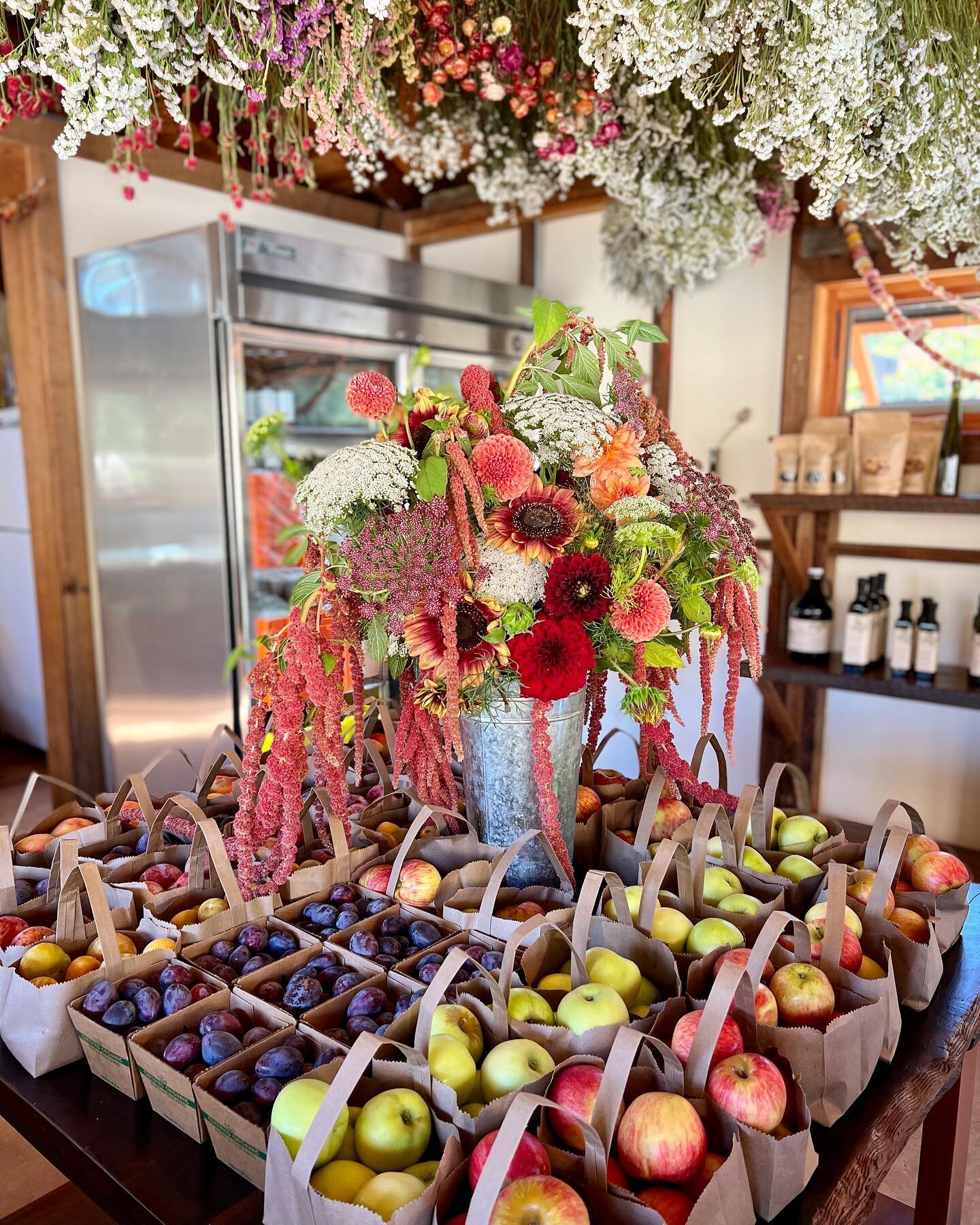 Fruit island is back.. come stock up on all the best seasonal produce. Open today 11am-4pm. 
🍎 🍑 🍇 🍐