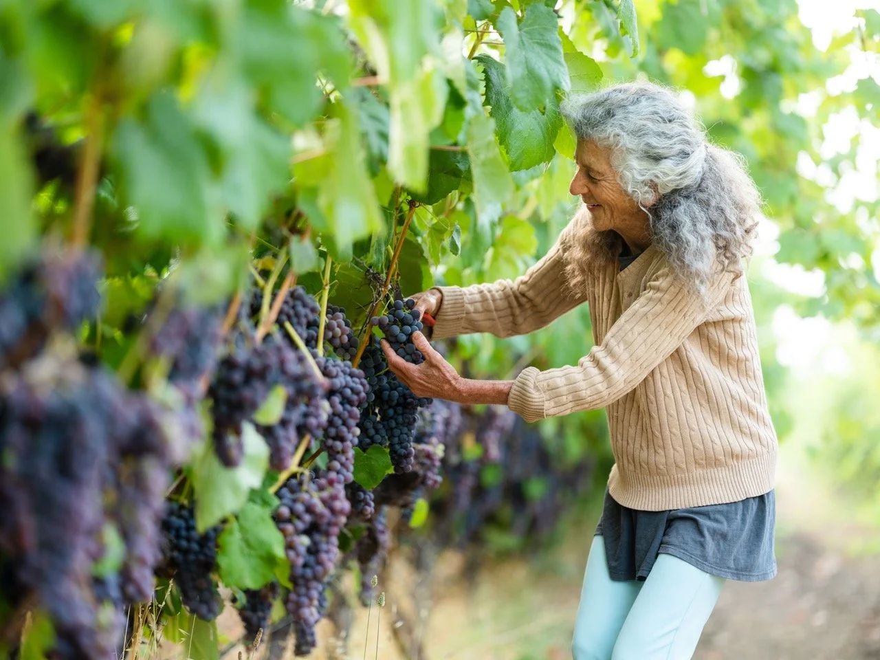 020_FilagreenFarm_FEED_08252022_paigegreen Large.jpeg