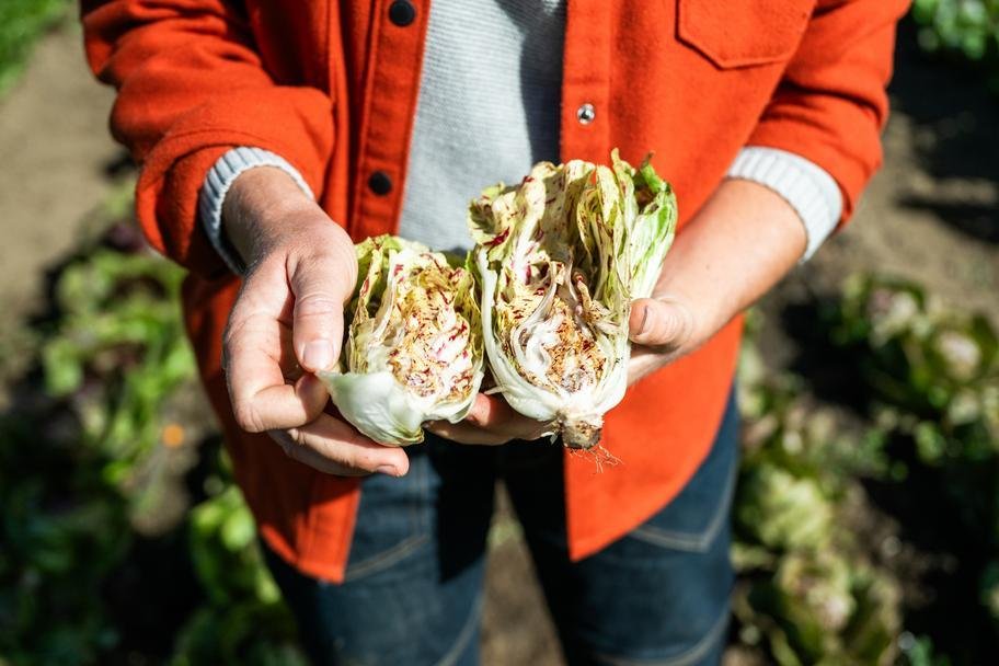 Paprika-Studios-CAG-Mendocino-Region-Filigreen-Farm-4584 (1).jpg