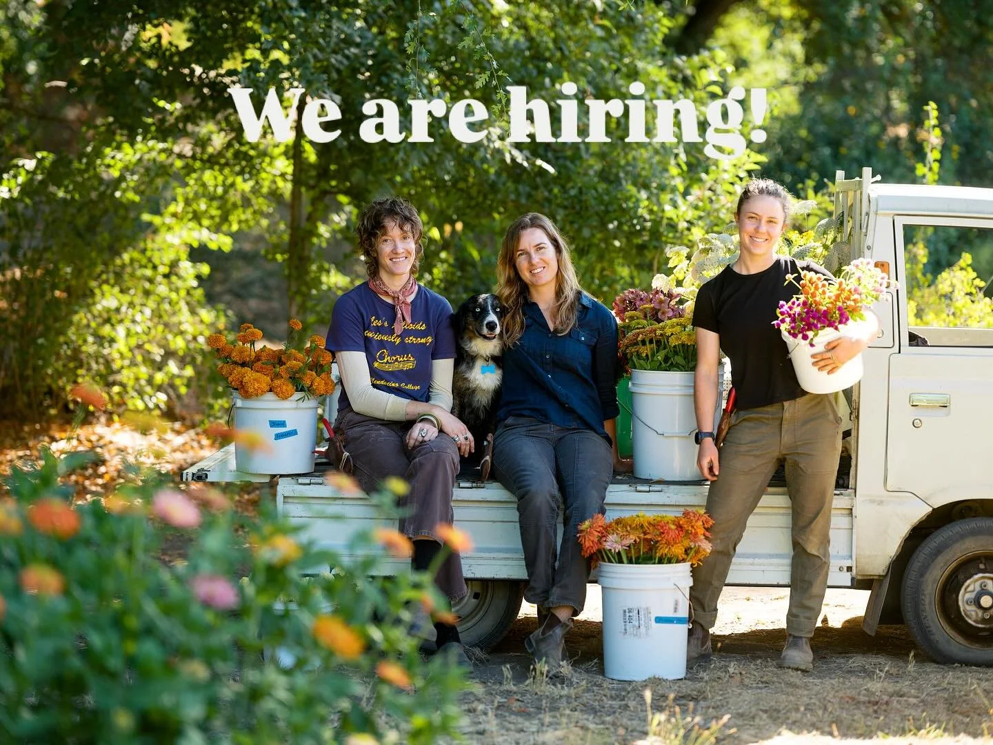 Dream of driving a Japanese Kei truck filled with vegetables and flowers? Well we have the job for you! 

We are looking for enthusiastic and hardworking farmers to join our floral and vegetable production team for the 2026 season. Link in profile to