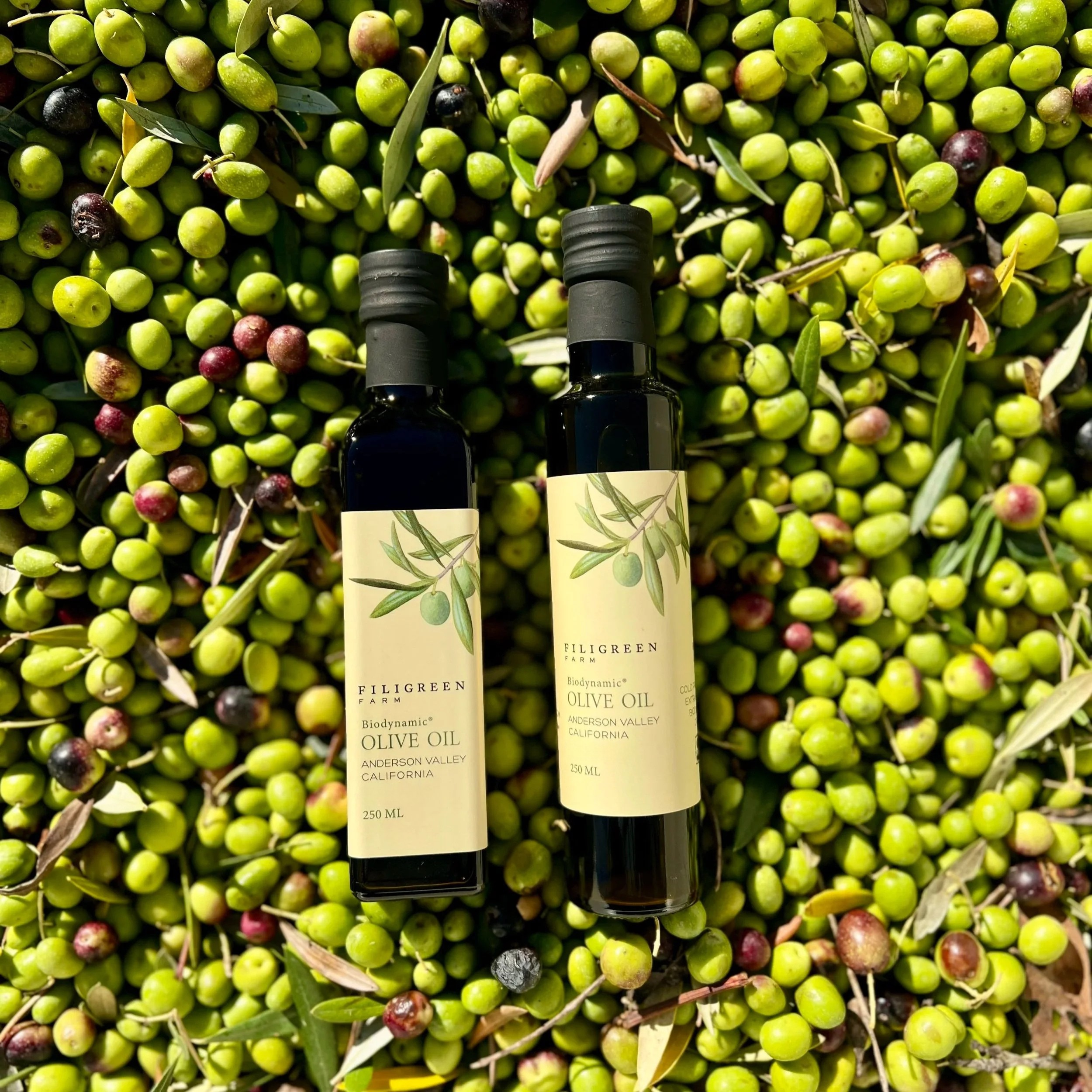 Untitled design (9).png