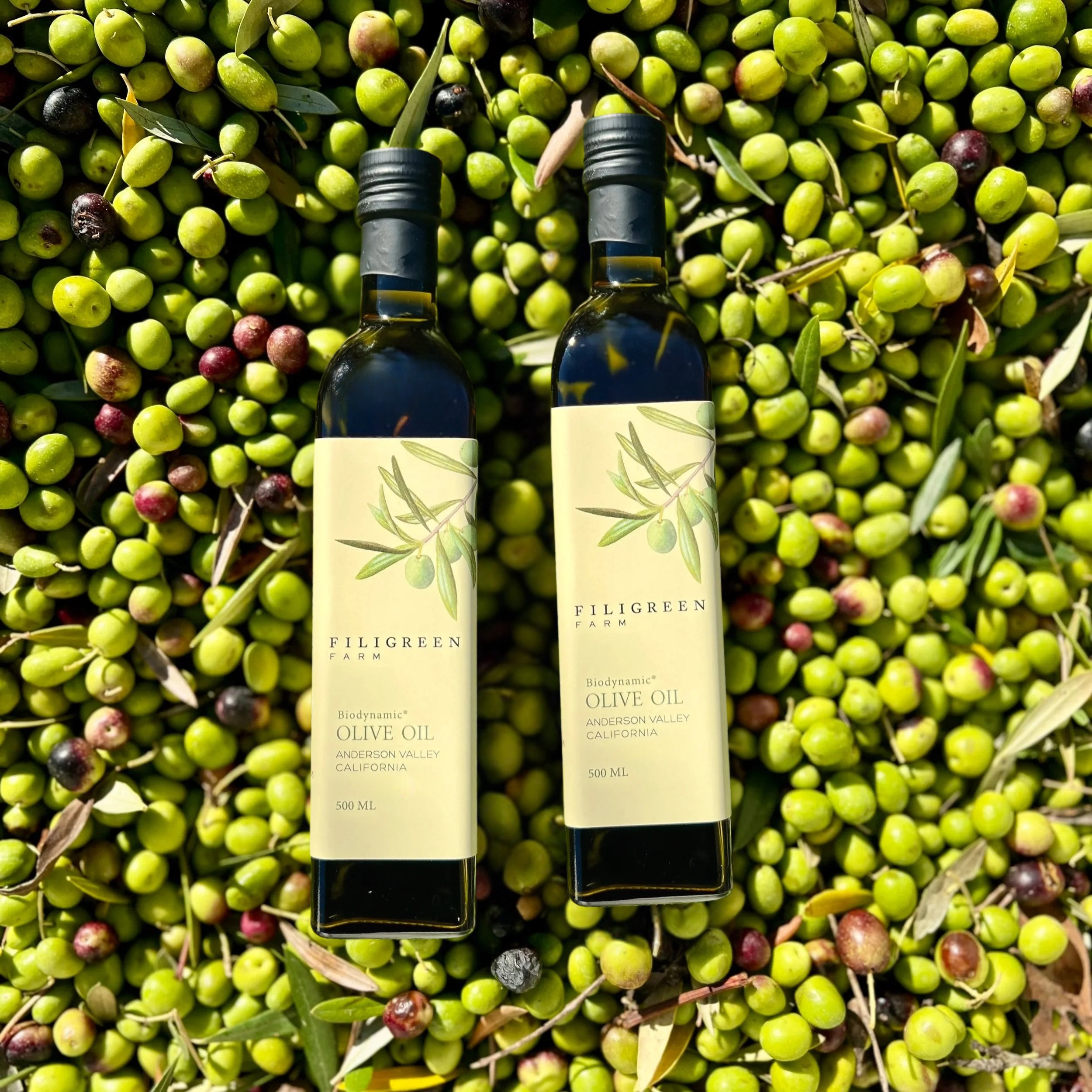 Untitled design (7).png