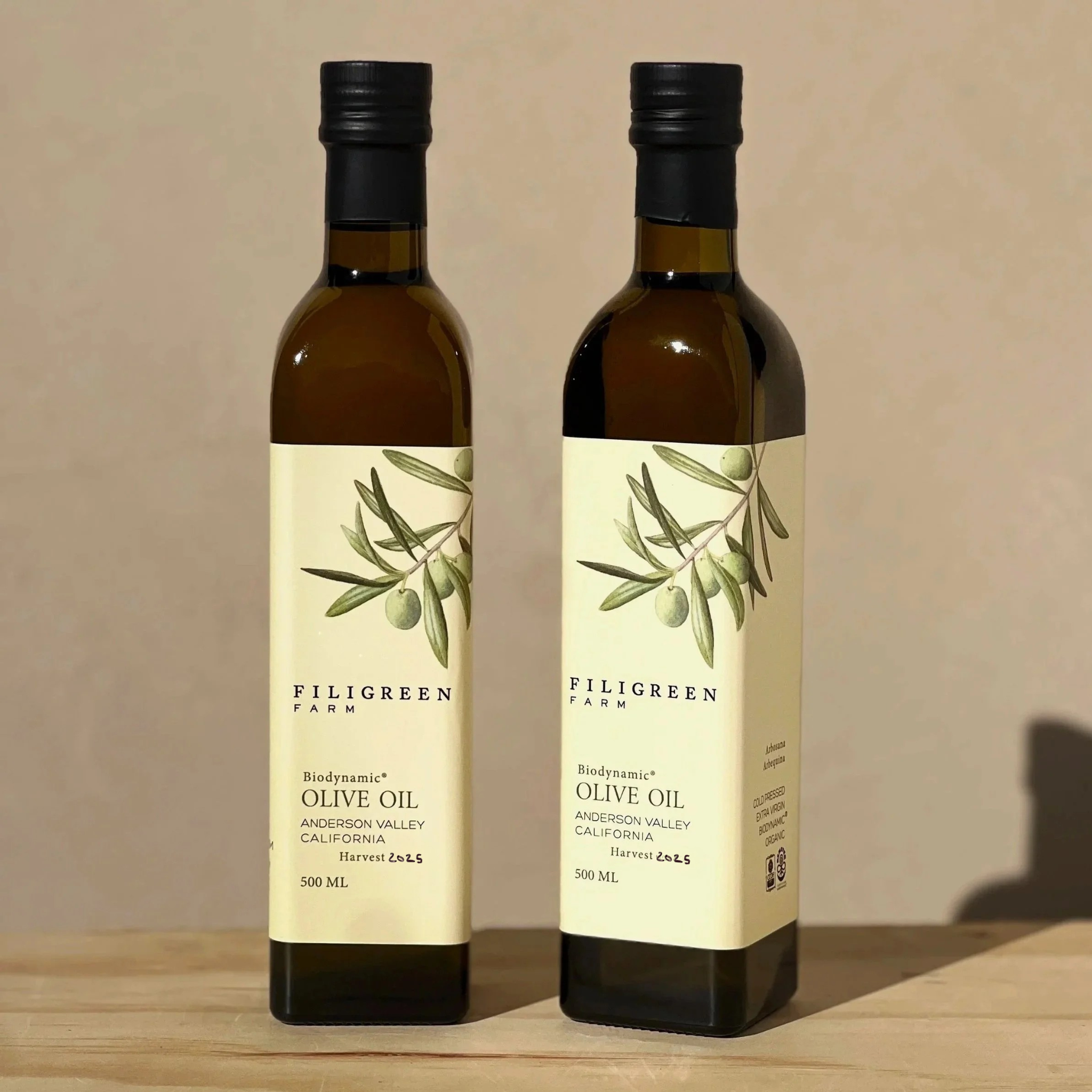 2025 Olio Nuovo (7).png