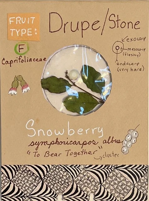 Nature Explorers Club