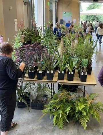 Partner Event: March Mania Plant Sale Bellevue Botanical Garden