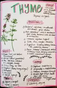 Nature Journaling: Exploring a Kitchen Herb Garden by Karen Houlding