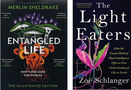 Time for a Paradigm Shift? By Sarah Cheng