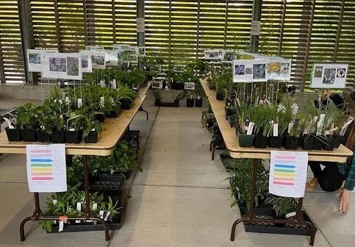 Partner Event: CPS Fall Native Plant Sale