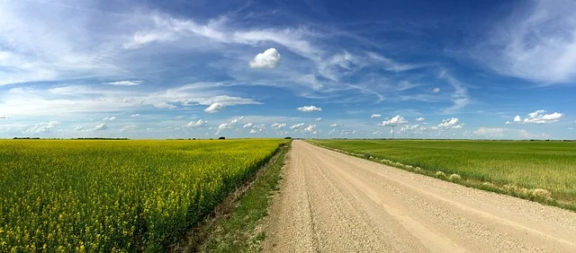 Saskatchewan in-demand occupations list expanded