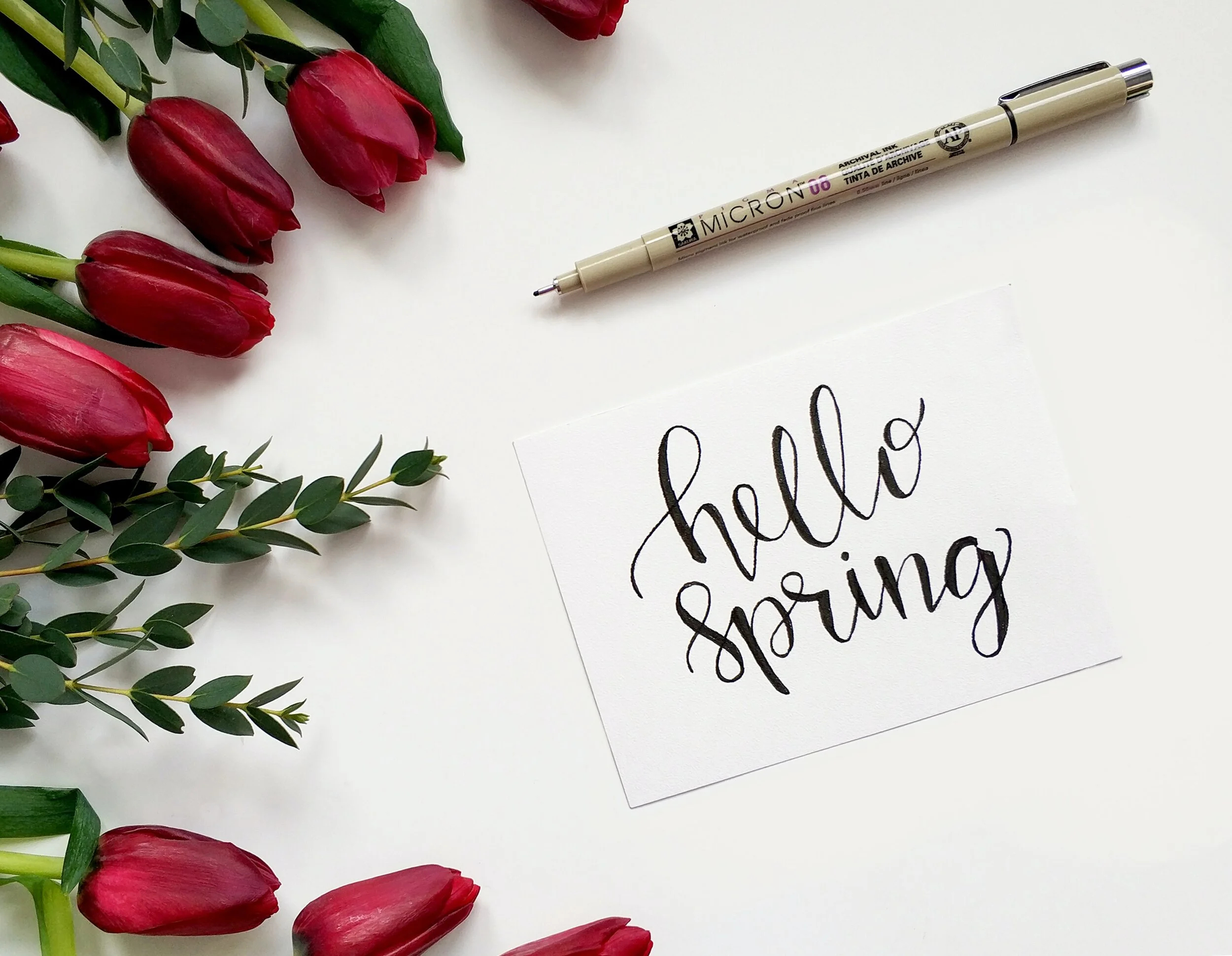 Welcome to Spring!