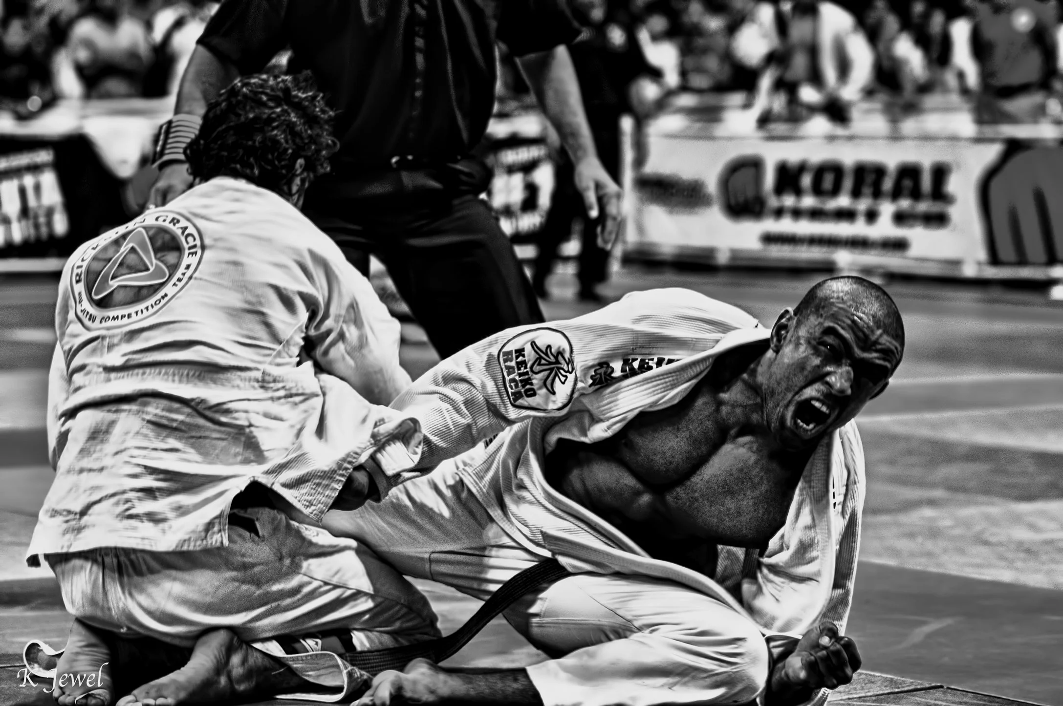 mendes-zapata-brazilian-jiu-jitsu-redding-quote-1.jpg