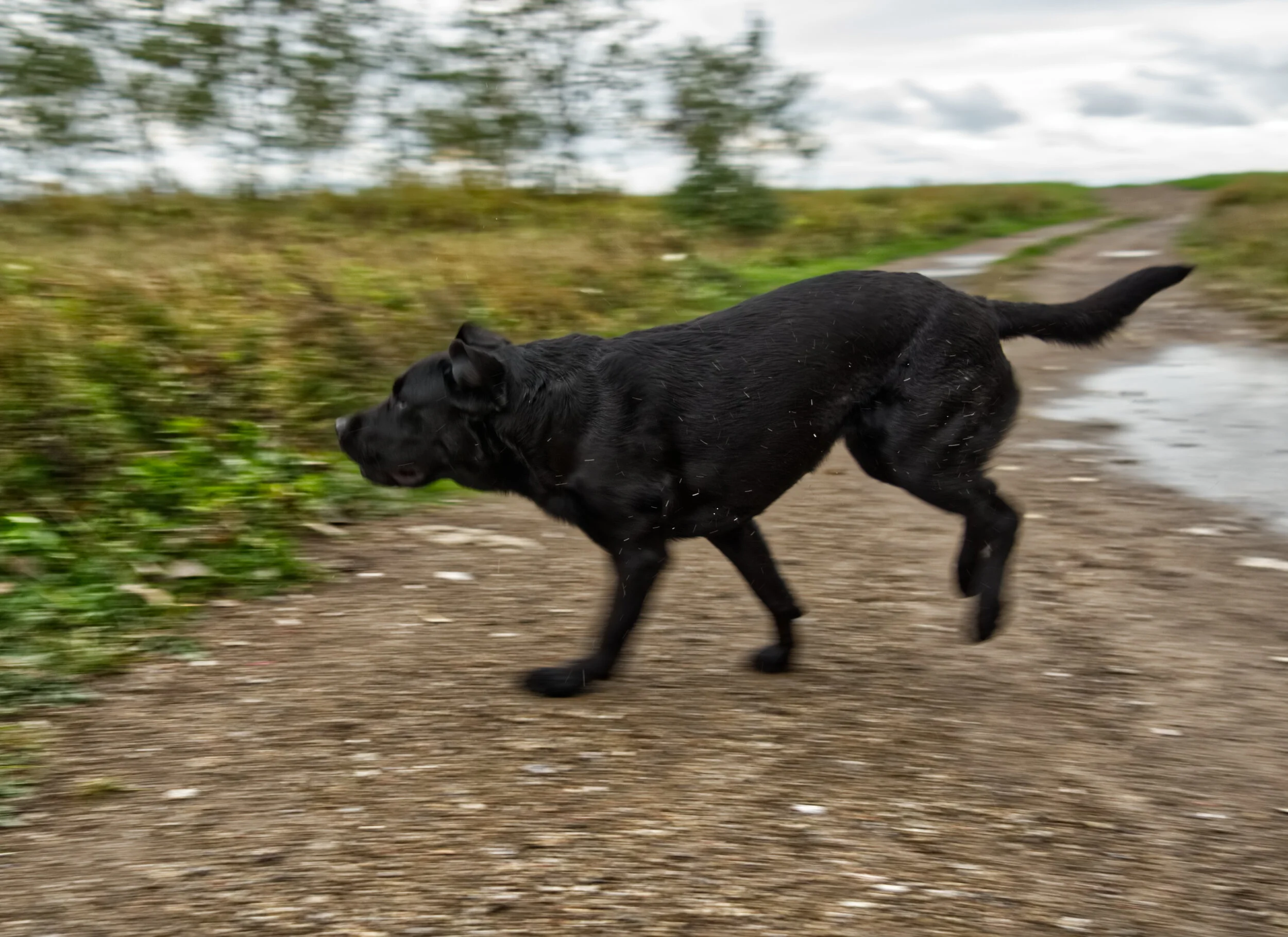 June Blur.jpg