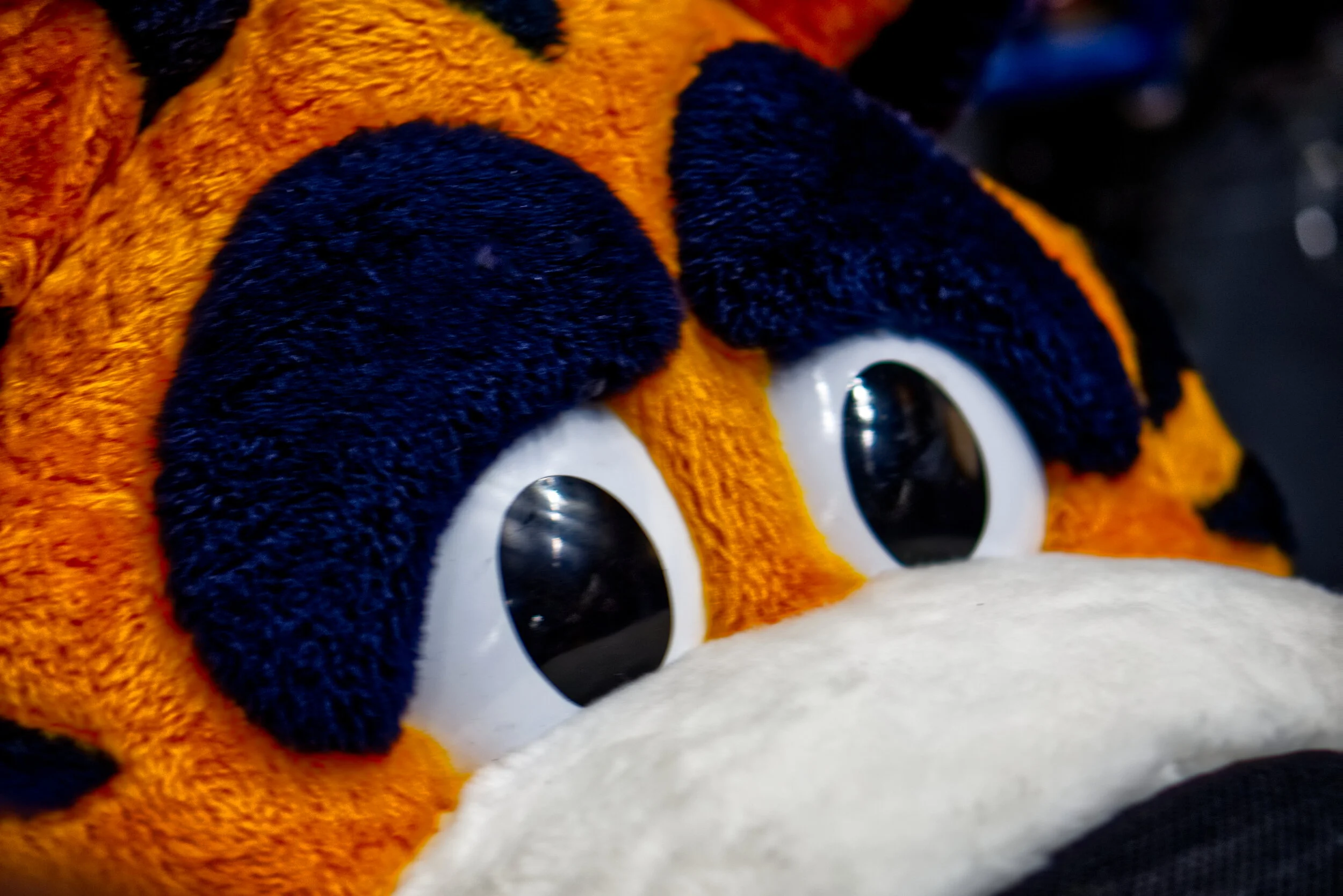 Sabres 3 copy.jpg