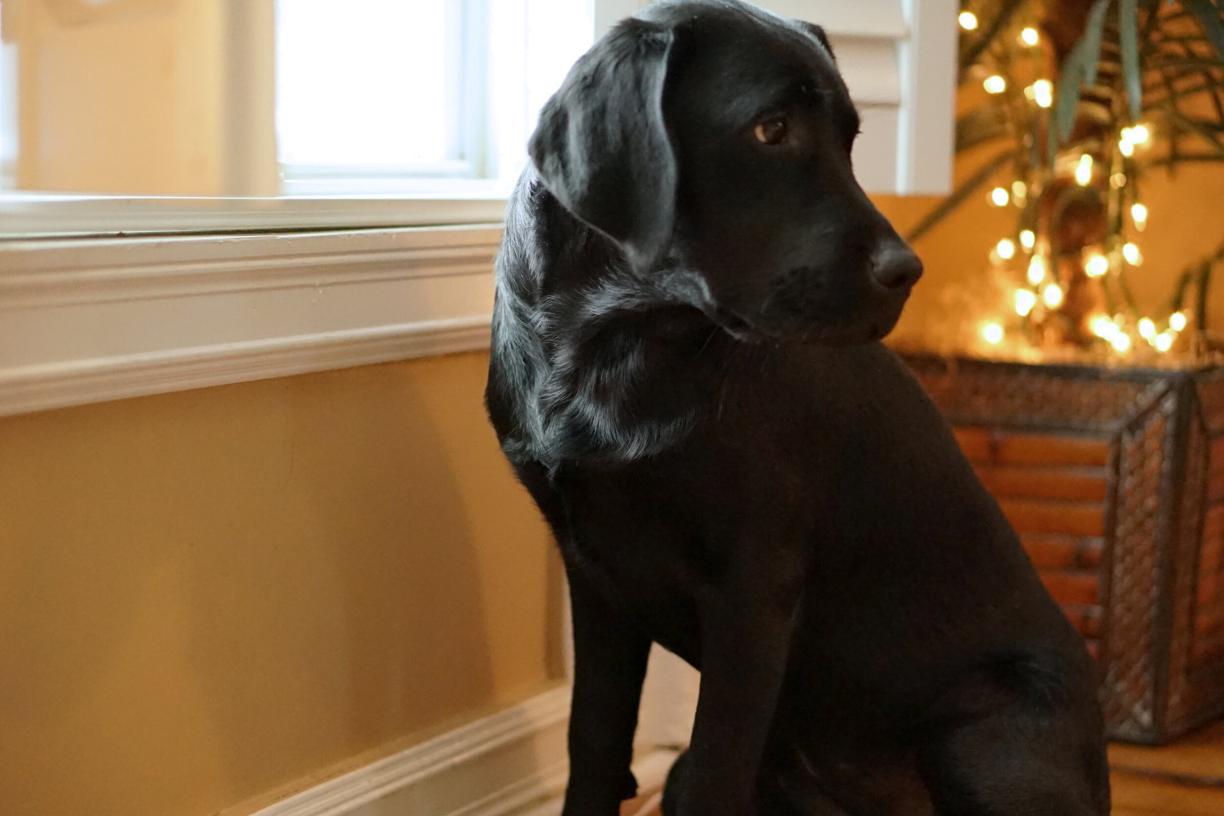 baby.jpg