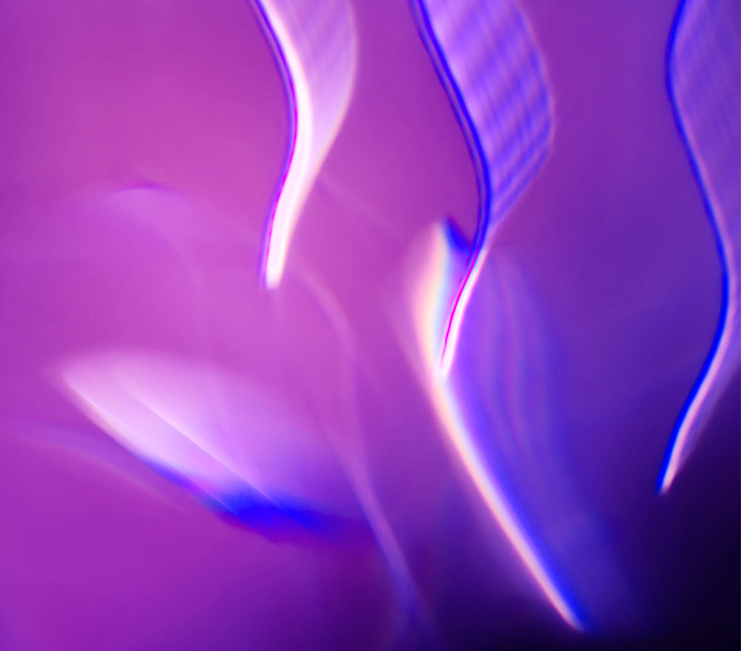 reflection flowers.jpg
