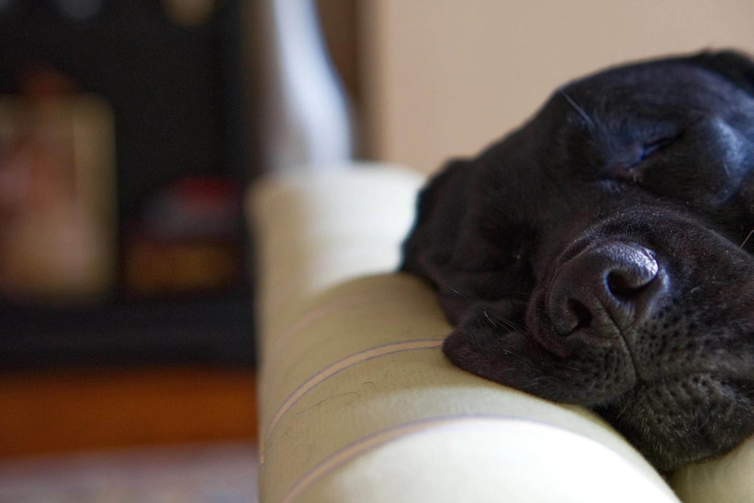 nap.jpg