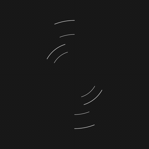 animated6.gif
