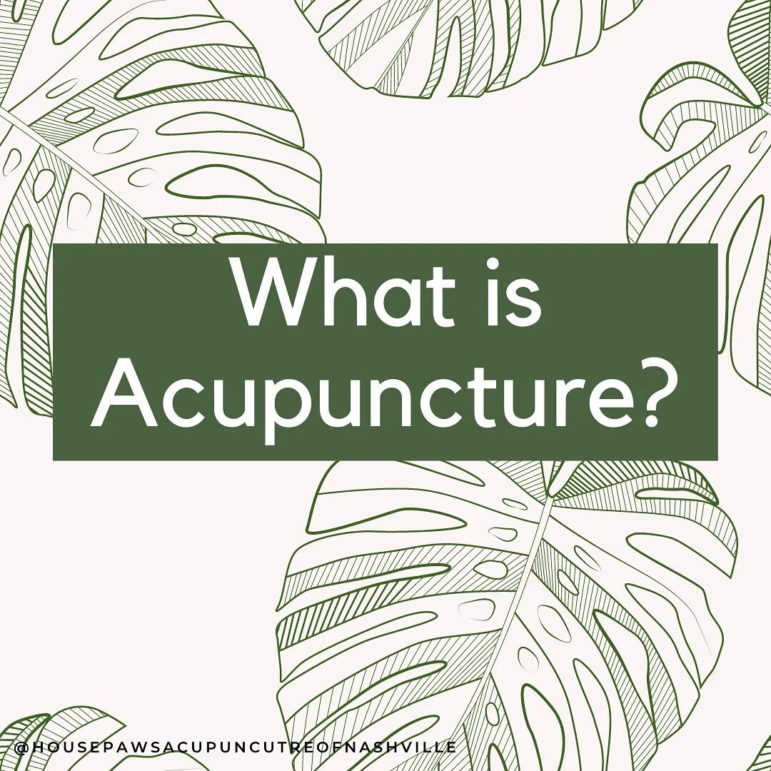 Acupuncture balances the Qi energy, which stimulates your pet&rsquo;s body to heal itself. It is a non-invasive treatment modality that originated thousands of years ago in ancient China.
A unique treatment plan will be tailored to your pets&rsquo; c