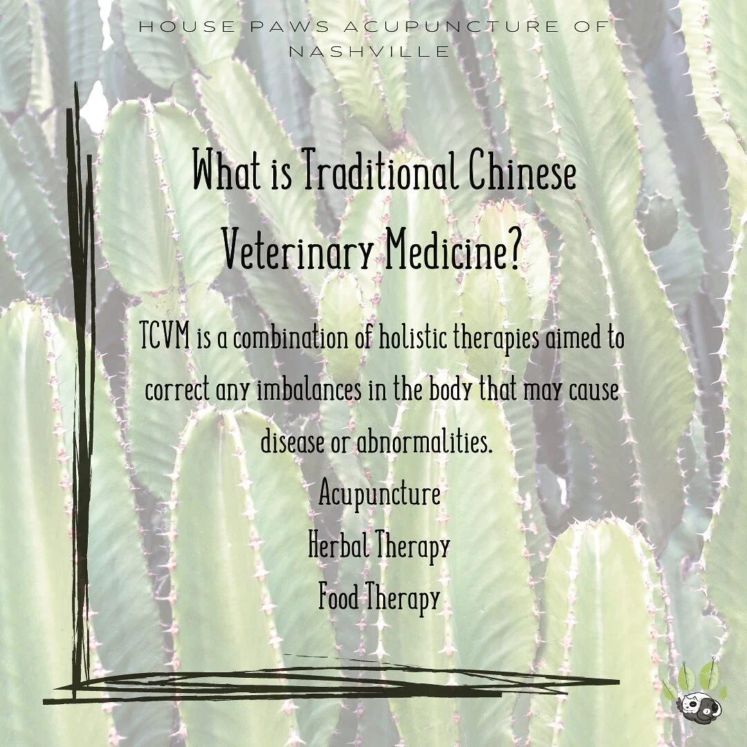 Traditional Chinese Veterinary Medicine is all about balance! Imbalances are unique to each individual. TCVM  is a tailored therapy that acknowledges the uniqueness of each patient. ☯️

#nashvilleveterinarycare #dogsofnashville #nashvilleholisticvet 