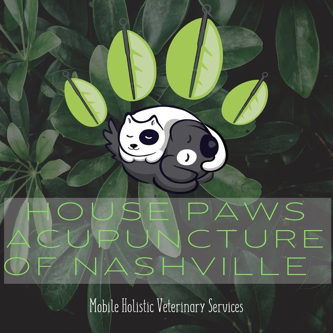 House Paws Acupuncture of Nashville 🍃was established by Dr. Arielle Walton in 2019 to provide holistic and  integrative veterinary care for her veterinary patients. Dr. Arielle&rsquo;s mission is to provide health and wellness care to the whole pati