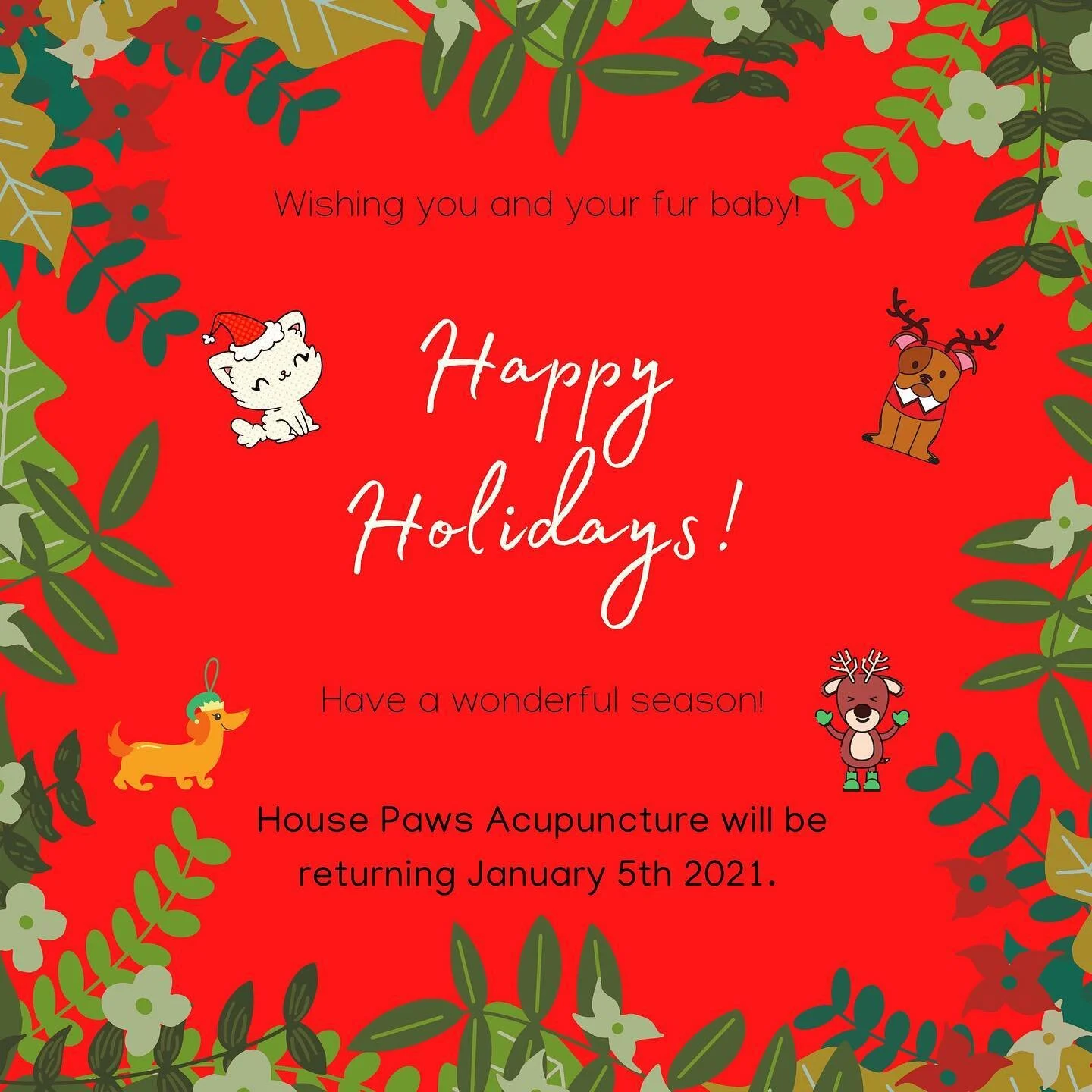 Happy Holidays from the House Paws Acupuncture Family!  We will miss all our friends until next year!