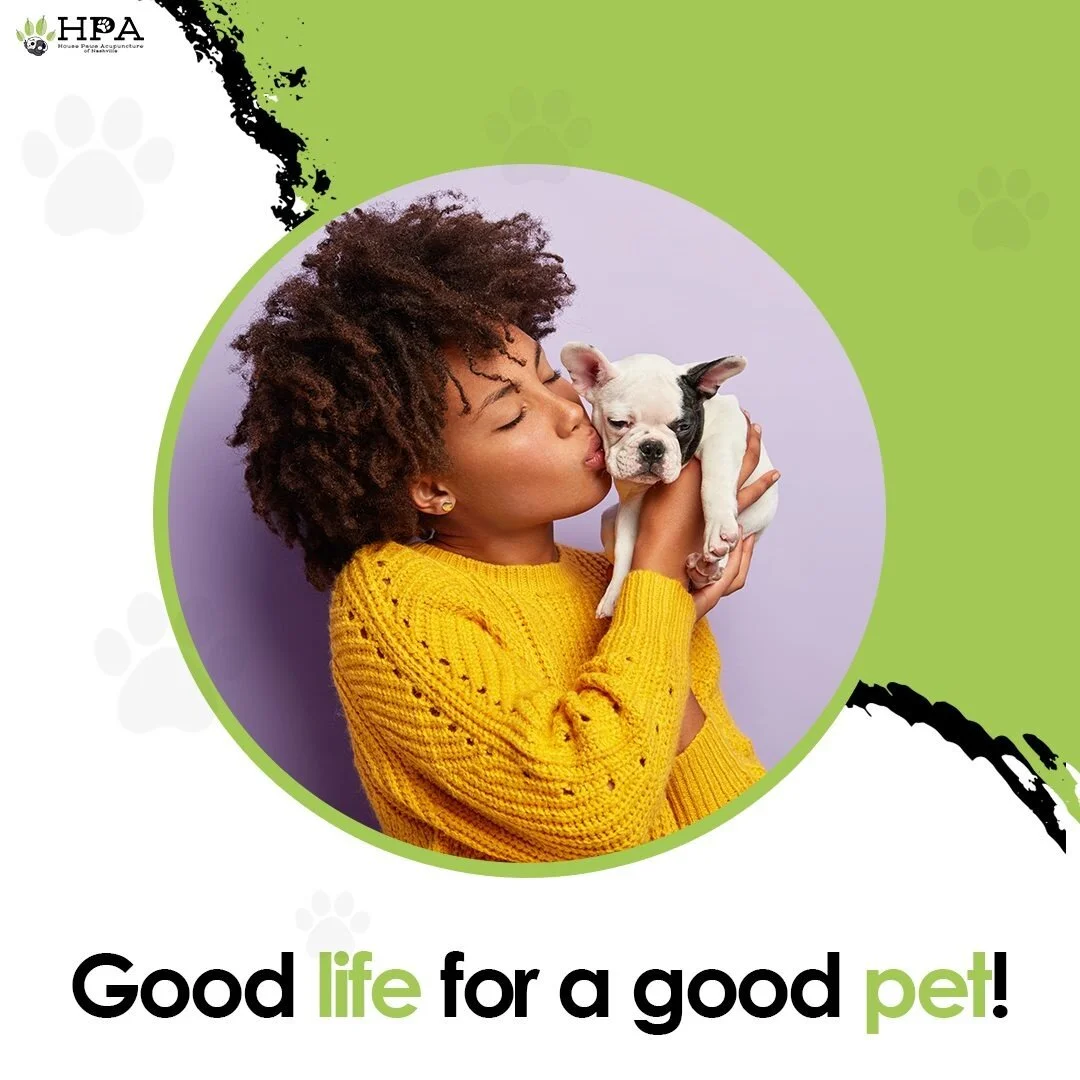For those of you who do not yet have a furry friend, or who are planning on adding one to your family, you&rsquo;ll be glad to hear that there are scientifically proven benefits that dogs bring to each of our lives! 🐾🐕&zwj;🦺❤️

Take care of the ma