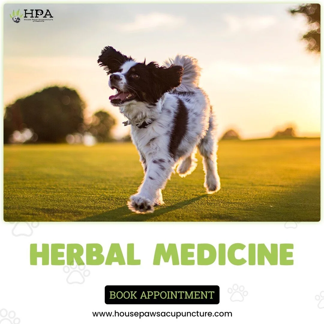 Traditional Chinese medicine is made out of select herbs that correct problems and have zero side-effects. Your pet's amazing personality won't change become drowsy or weak after taking herbal medicine. 
A combination of Chinese medicine and acupunct