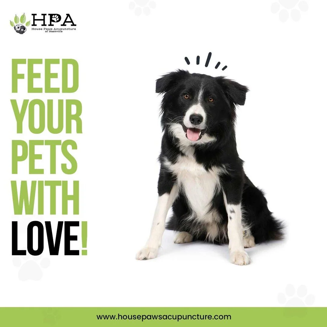 Fresh balanced food is an effective way to support the immune function of pets battling just about any disease!
At House Paws Acupuncture, we identify the unique dietary requirements of each patient based on their age, breed, personality, and disease