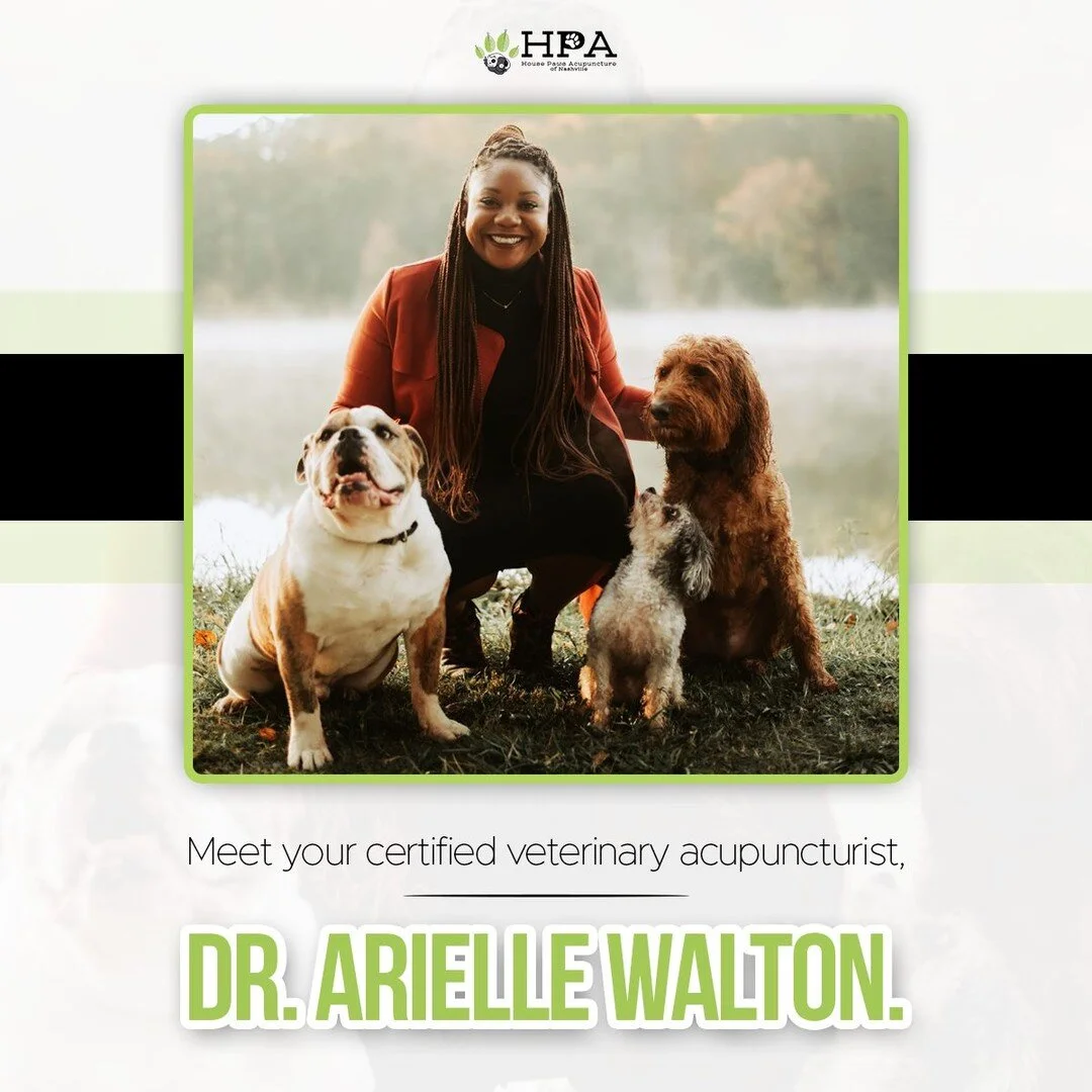 𝐌𝐞𝐞𝐭 𝐃𝐫. 𝐀𝐫𝐢𝐞𝐥𝐥𝐞 𝐖𝐚𝐥𝐭𝐨𝐧!

A unique veterinarian in Nashville, TN hailing from Atlanta, GA. Dr. Arielle completed her education at the illustrious Tuskegee University School of Veterinary Medicine in Tuskegee, AL. During her senior 