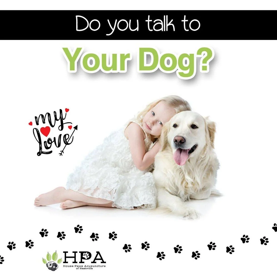 If you talk to your dog more than you talk to your best friends, you&rsquo;re not alone. In fact, having a furry shoulder to lean on is actually really good for your health. 🐕
Talking to your dog on a daily basis can improve your bond and it&rsquo;s