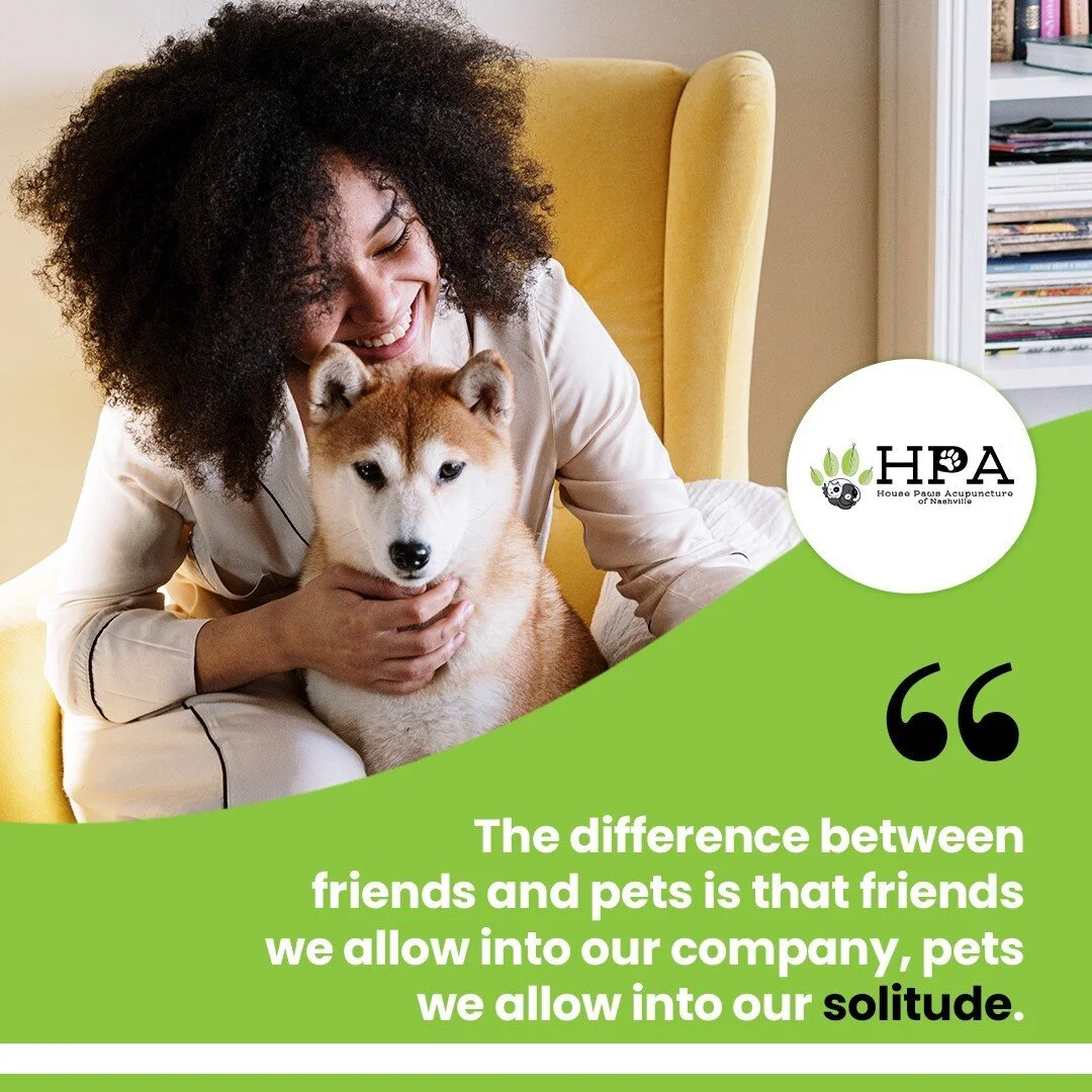The difference between friends and pets is that friends we allow into our company, pets we allow into our solitude. Animals are such agreeable friends; they ask no questions; they pass no criticisms. We can judge the heart of a man by his treatment o