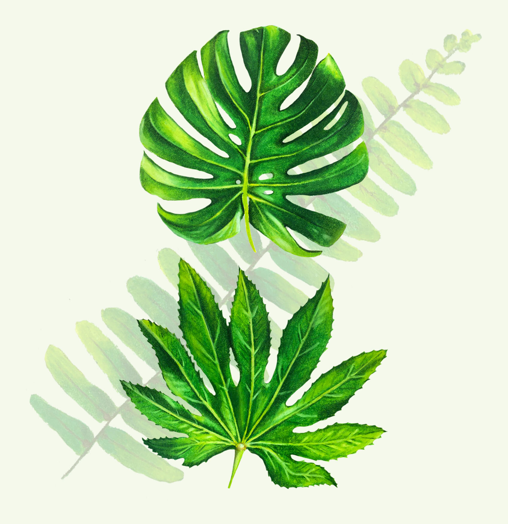 Botanical Leafs