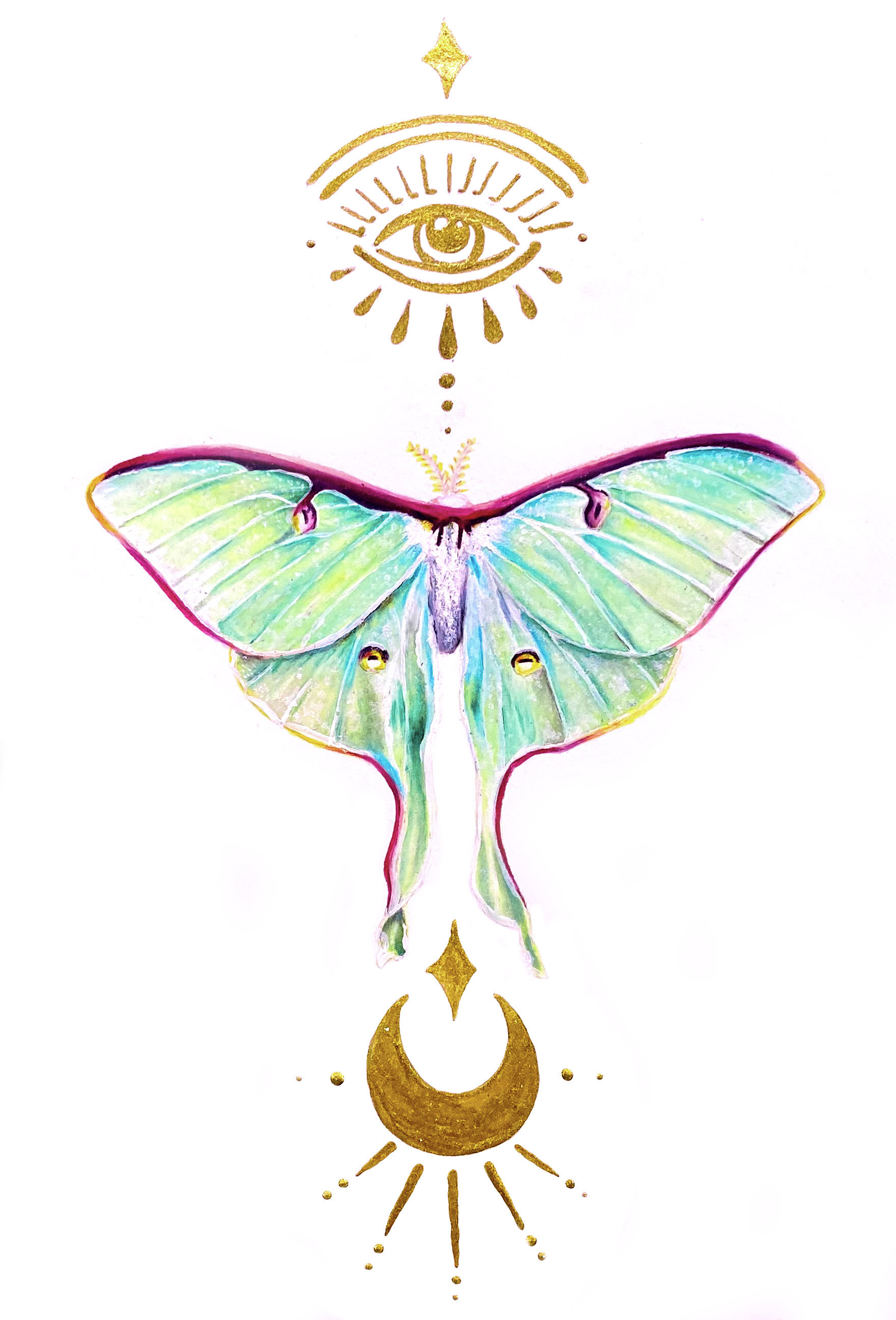 Lunar Moth