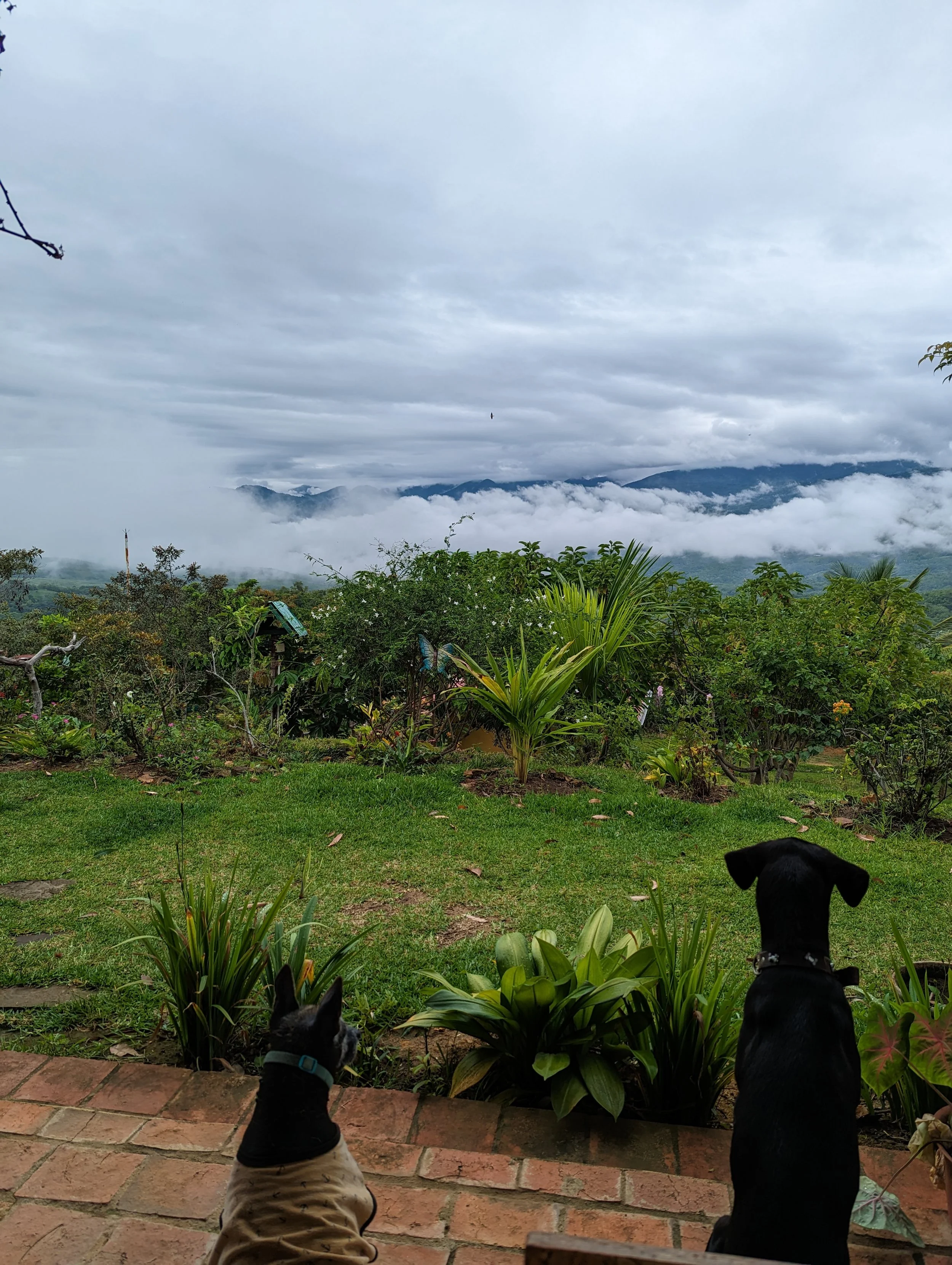 It all begins with an idea. Maybe you want to launch a business. Maybe you want to turn a hobby into something more. 