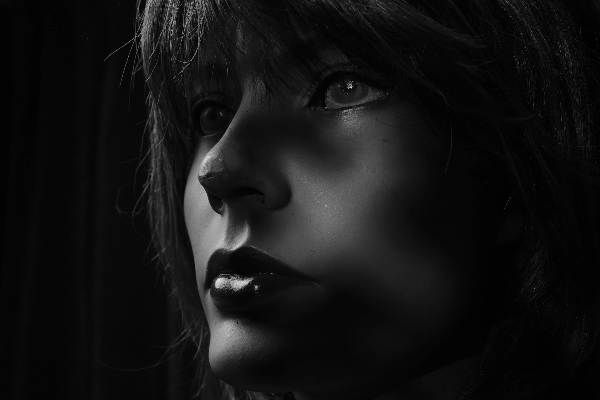 DSCF8673.jpg