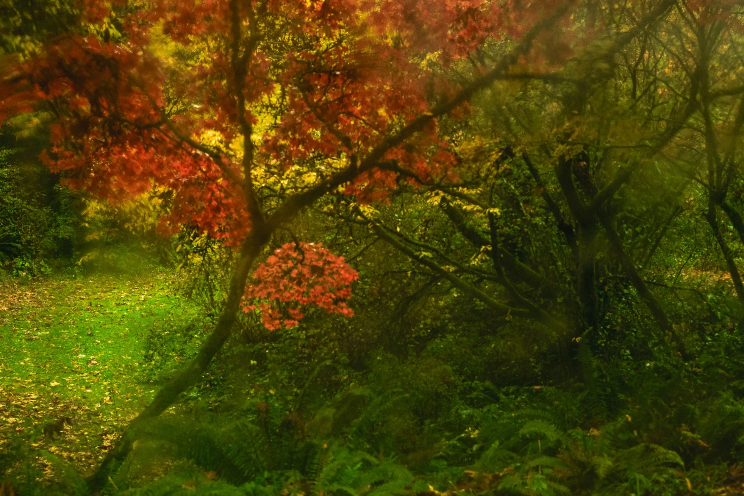 DSCF9492 3.jpg