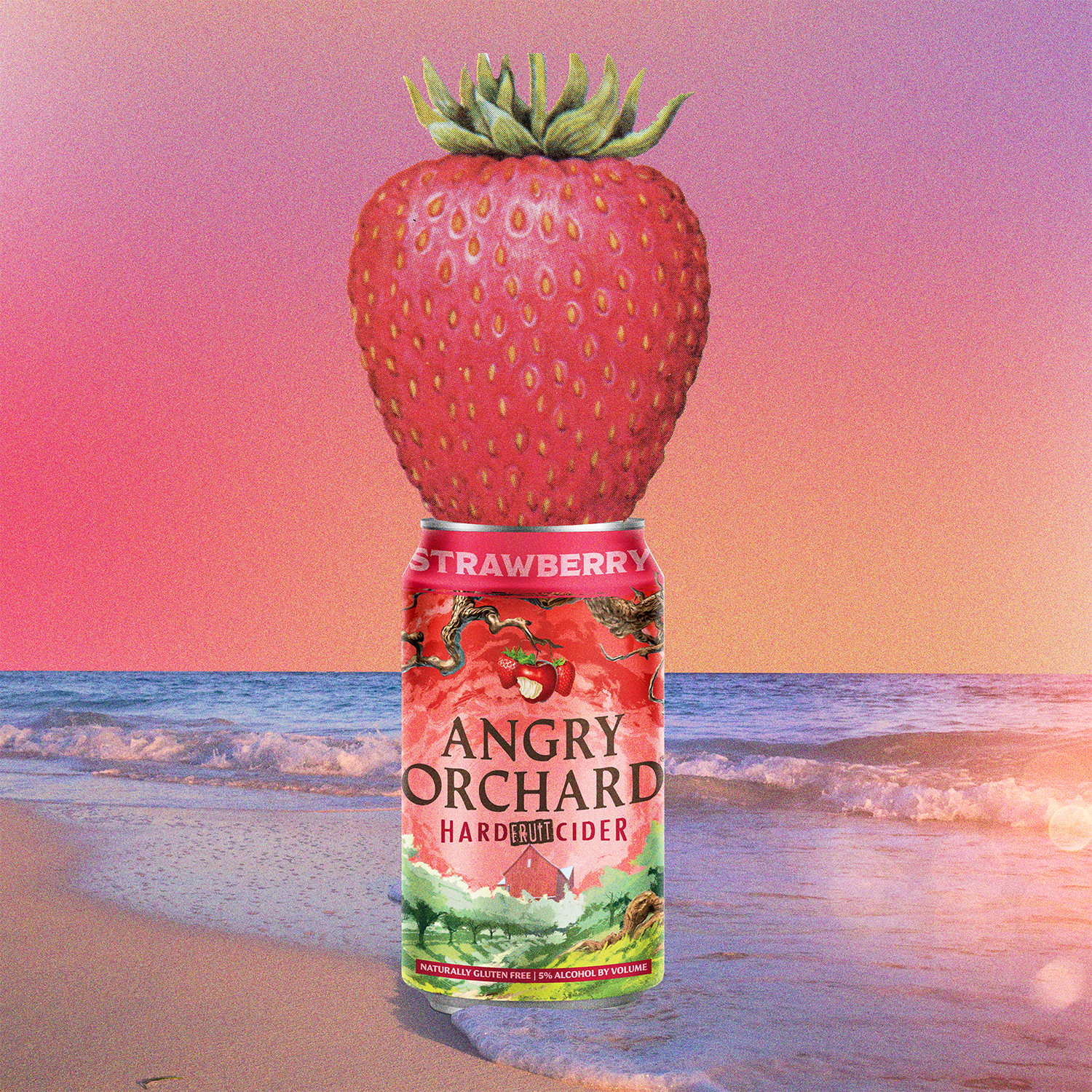 DS_AngryOrchard_Strawvberry_Can_Finish_V.1.png